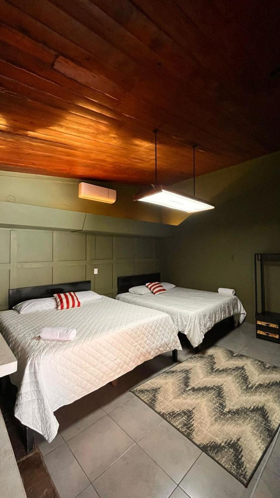 Deluxe Twin Room photo 1