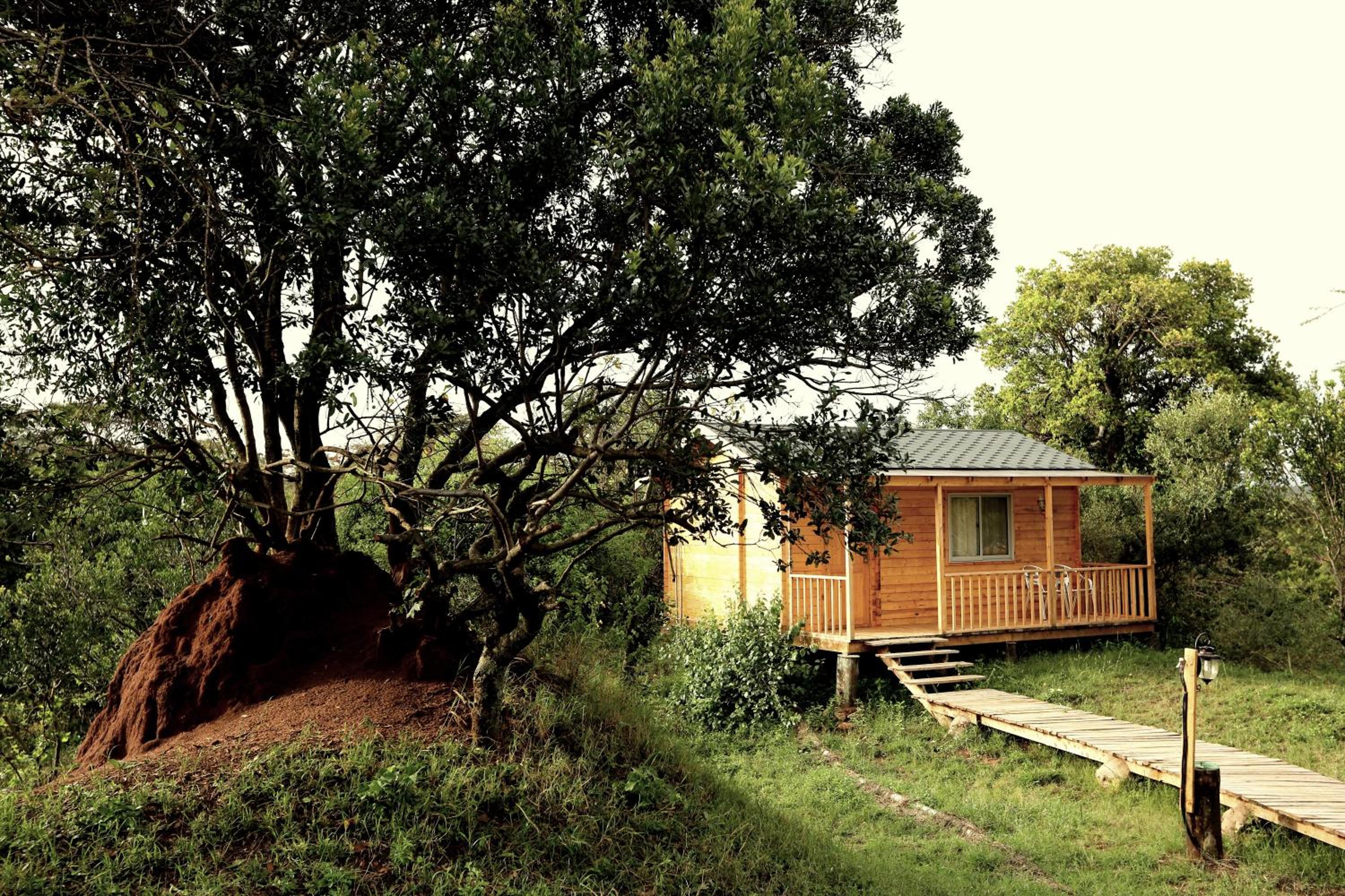 Wooden Cottage Twin - Photo 2