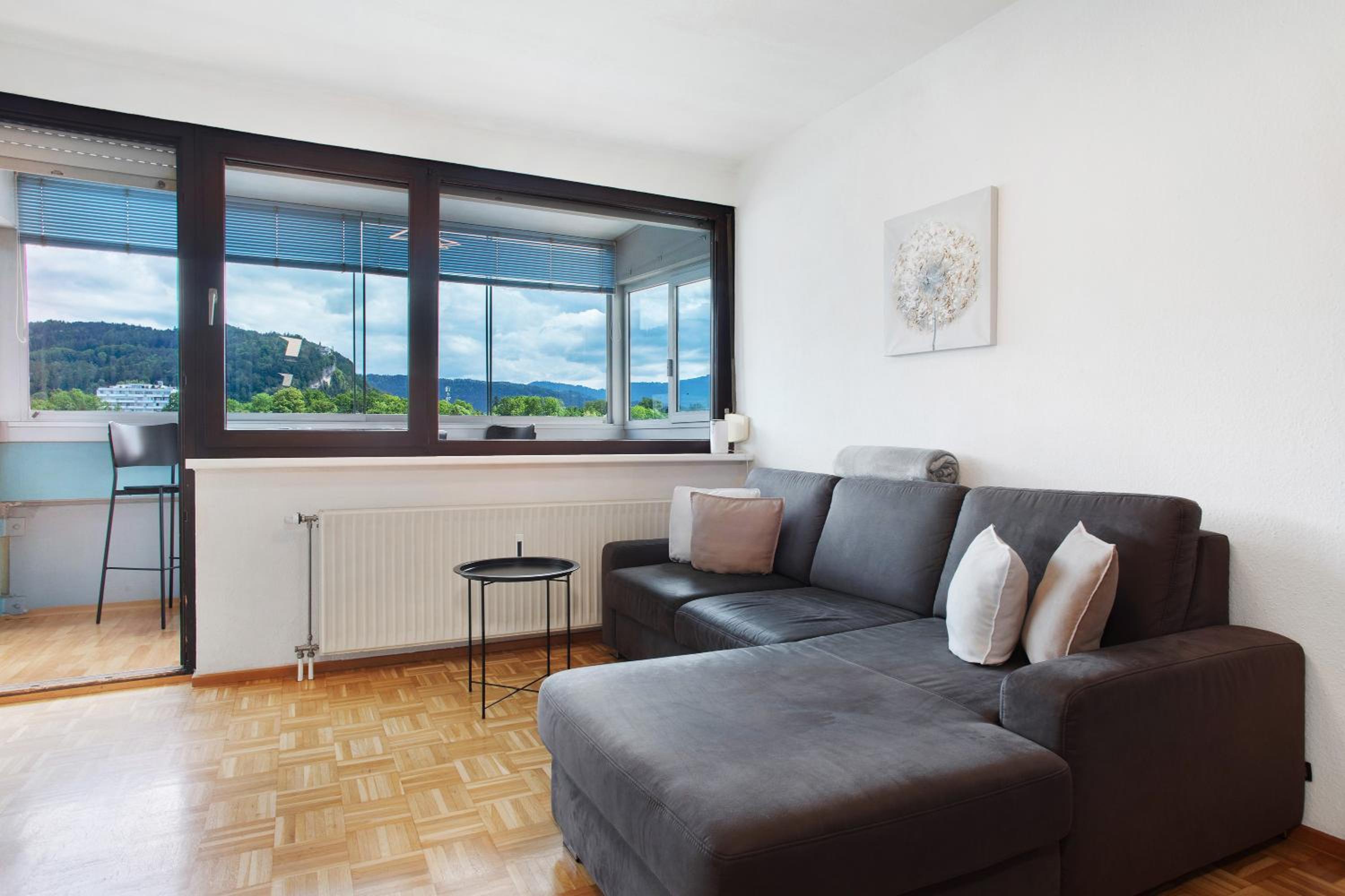 Superior One-Bedroom Apartment with Balcony photo 2