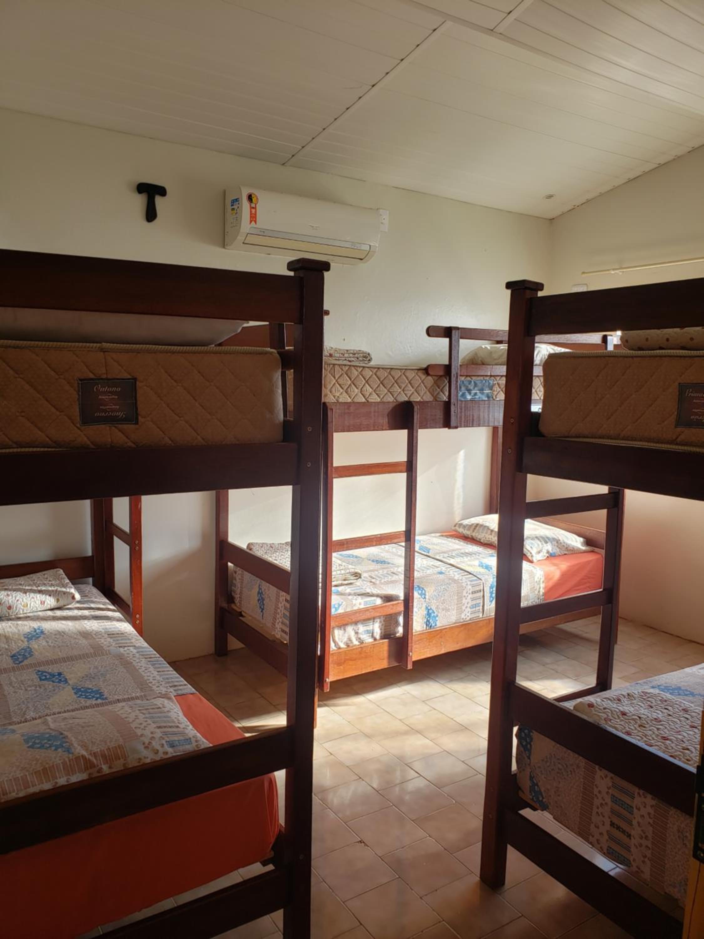 Bunk Bed in Mixed Dormitory Room photo 3