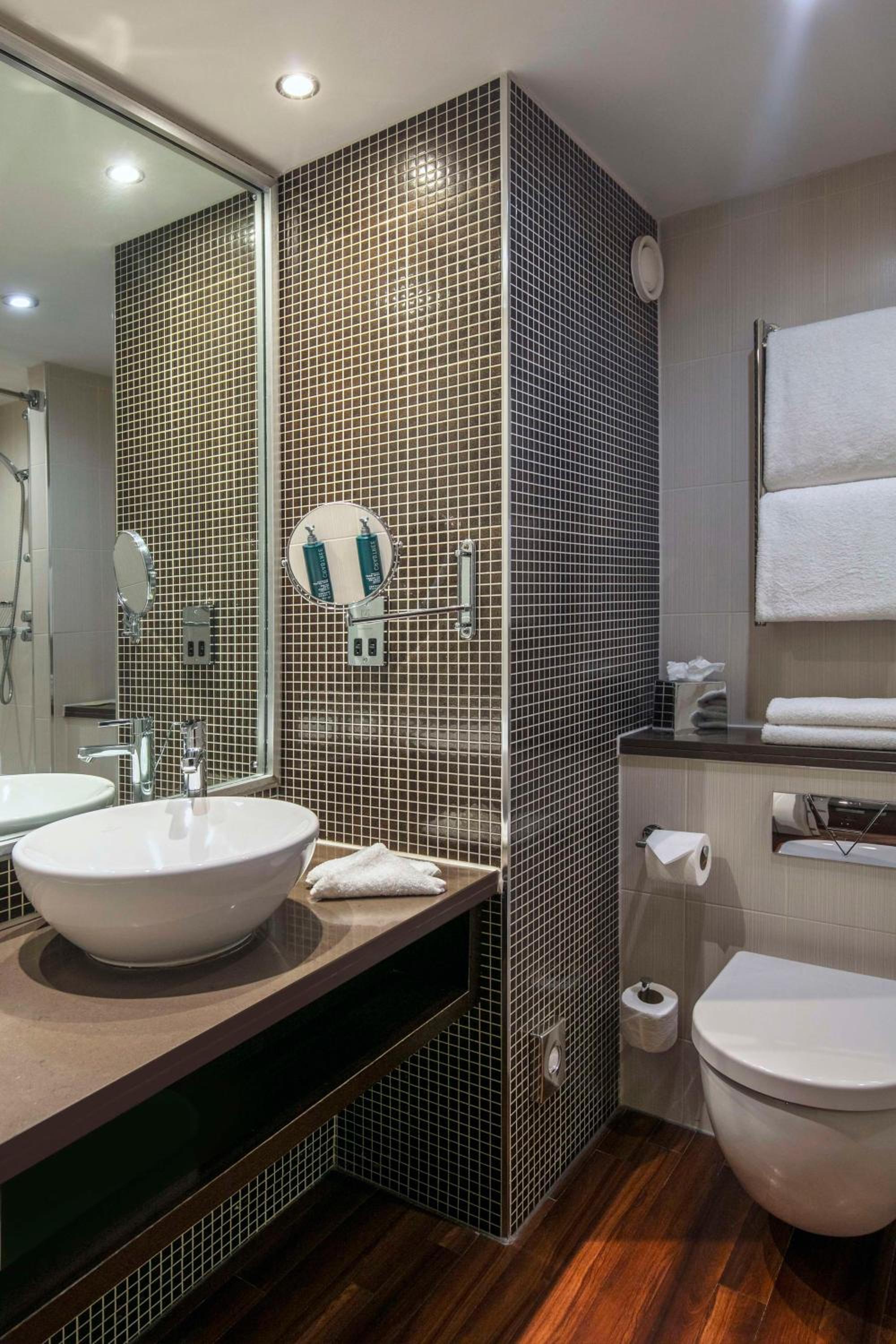 Deluxe King Room - Photo 6