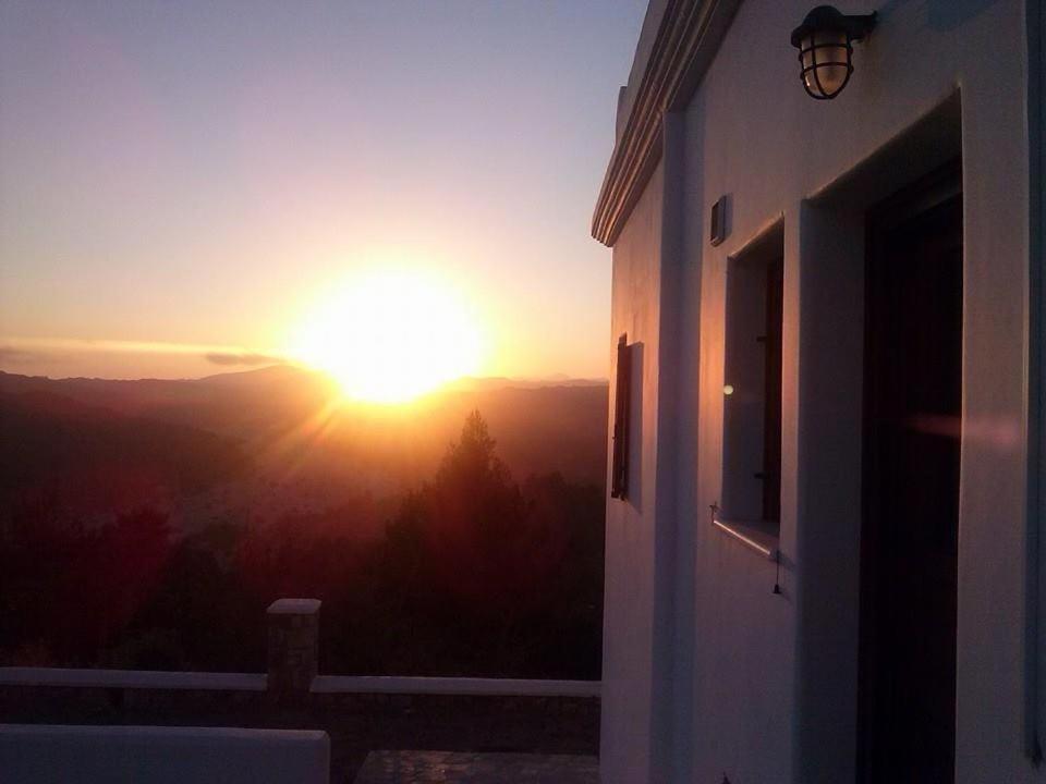 Deluxe Villa photo 3