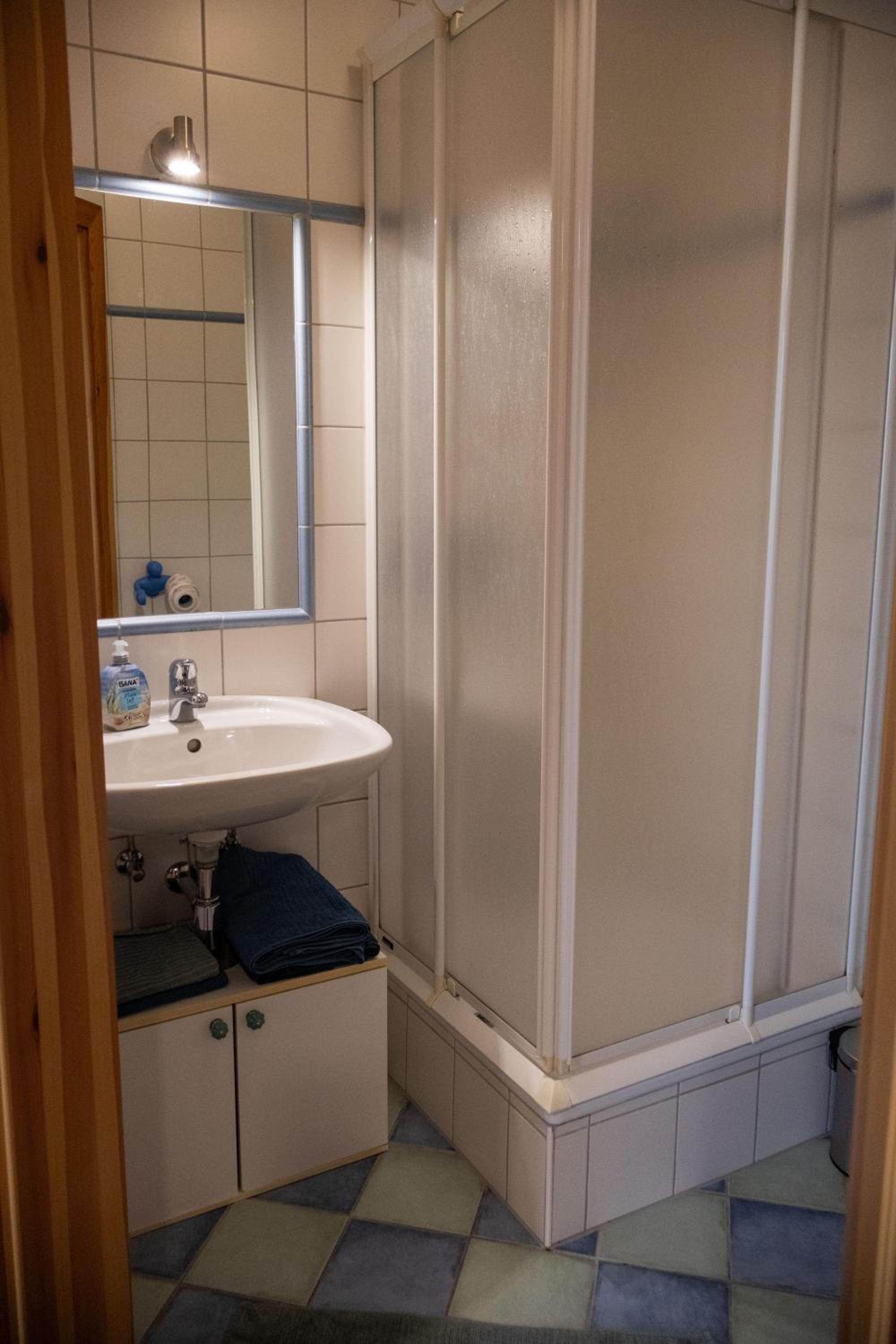 Apartment with Shower photo 2