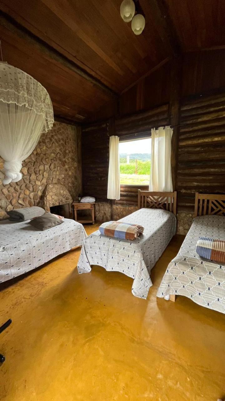 Superior Quadruple Room photo 1