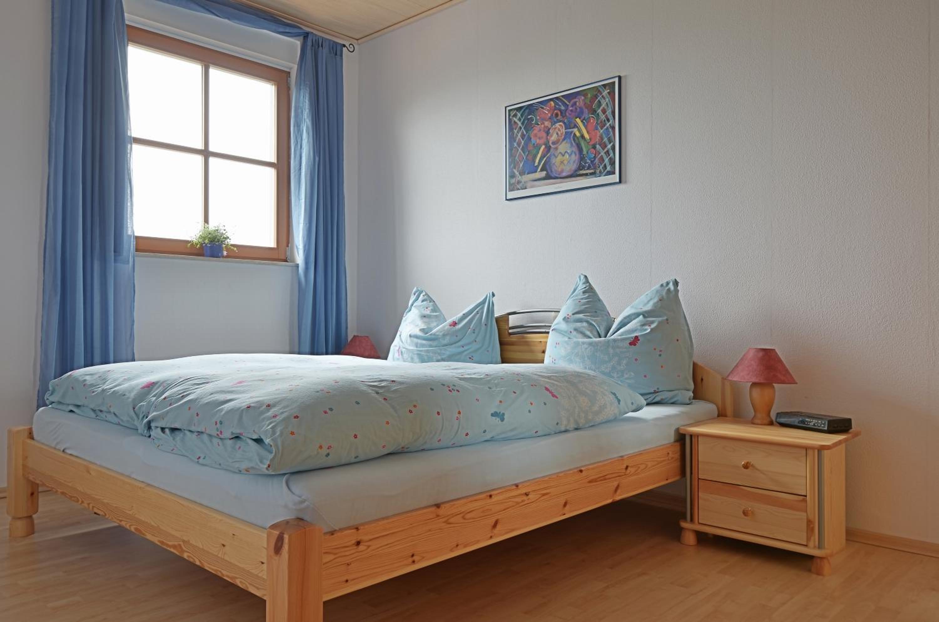 Superior One-Bedroom Apartment with Balcony photo 3