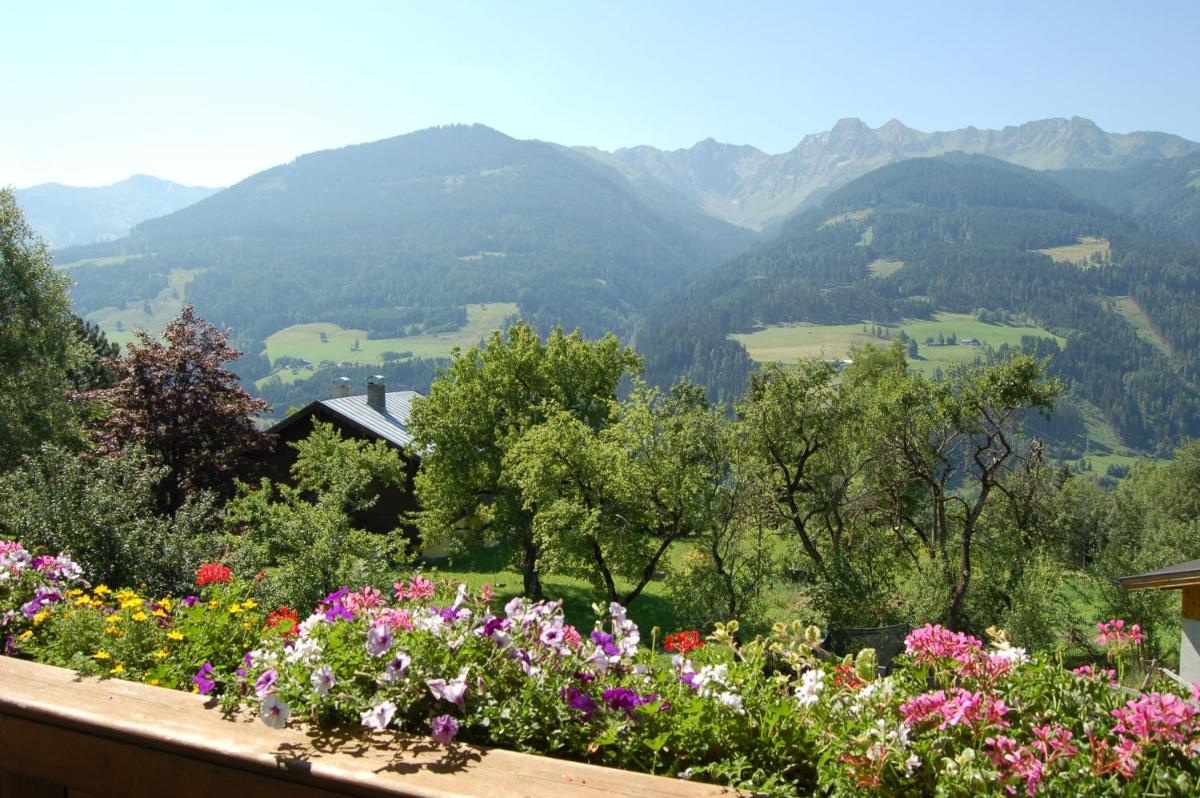 Double Room with Mountain View