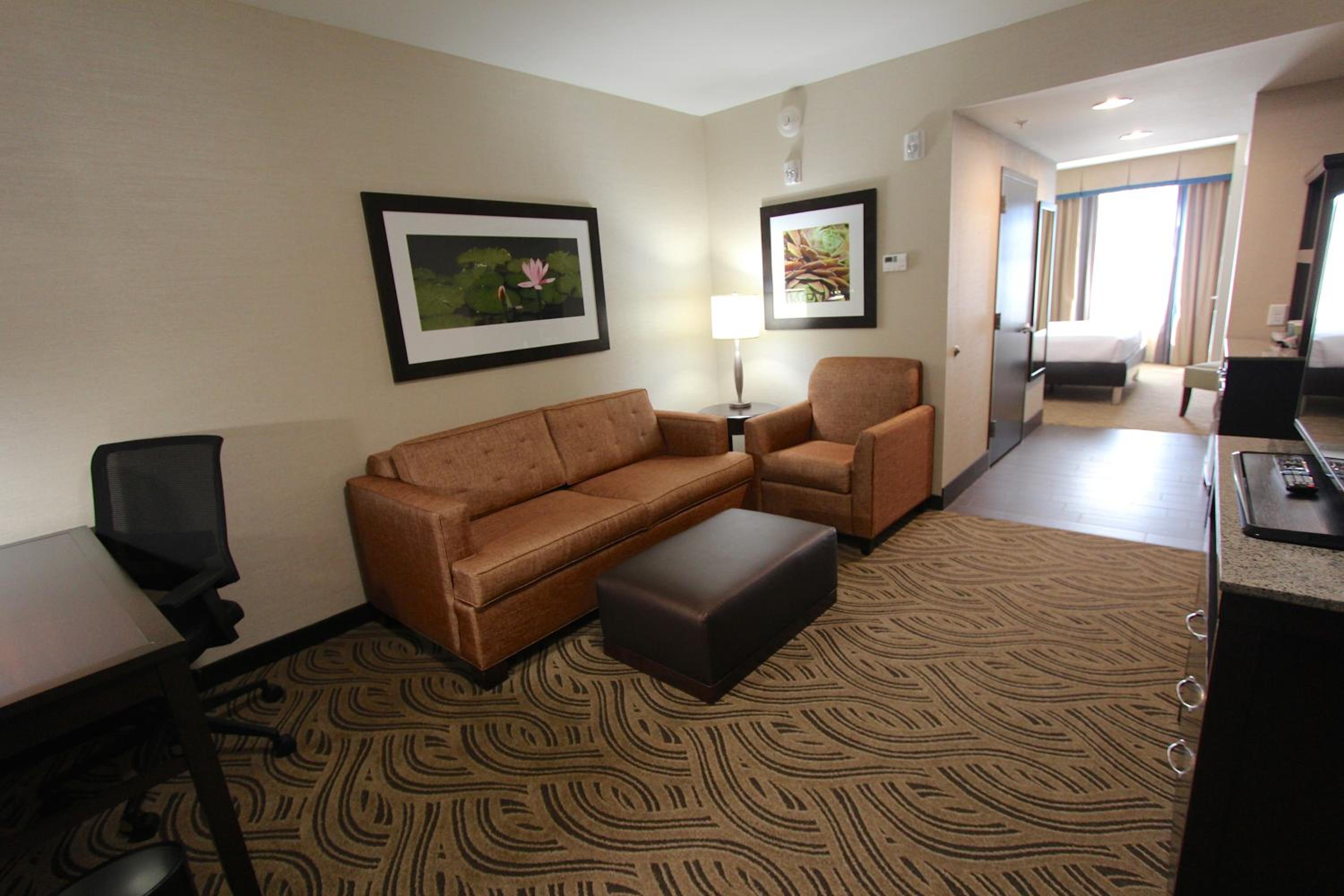 Junior King Suite with Sofa Bed photo 1