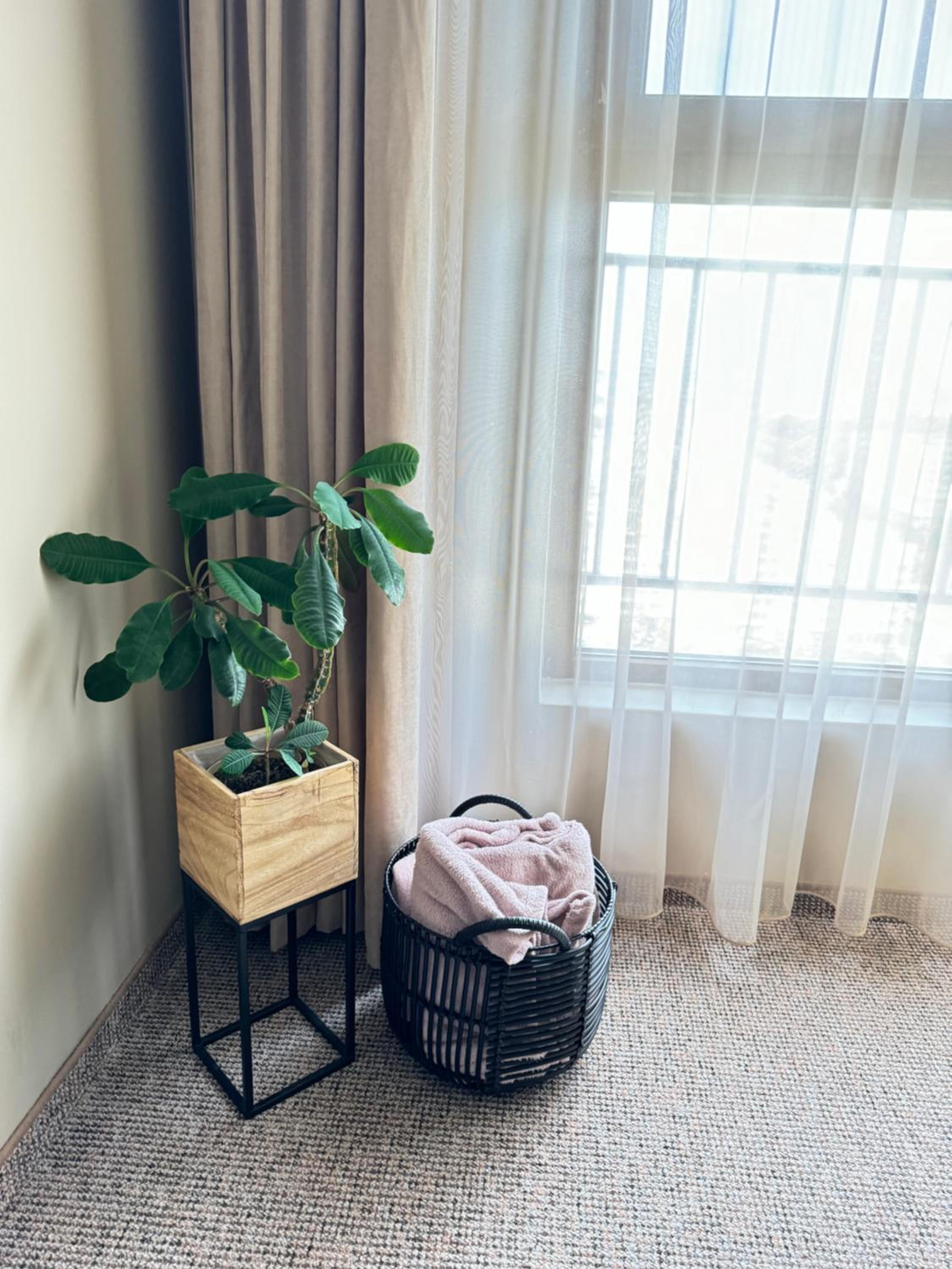 One-Bedroom Apartment - Photo 10