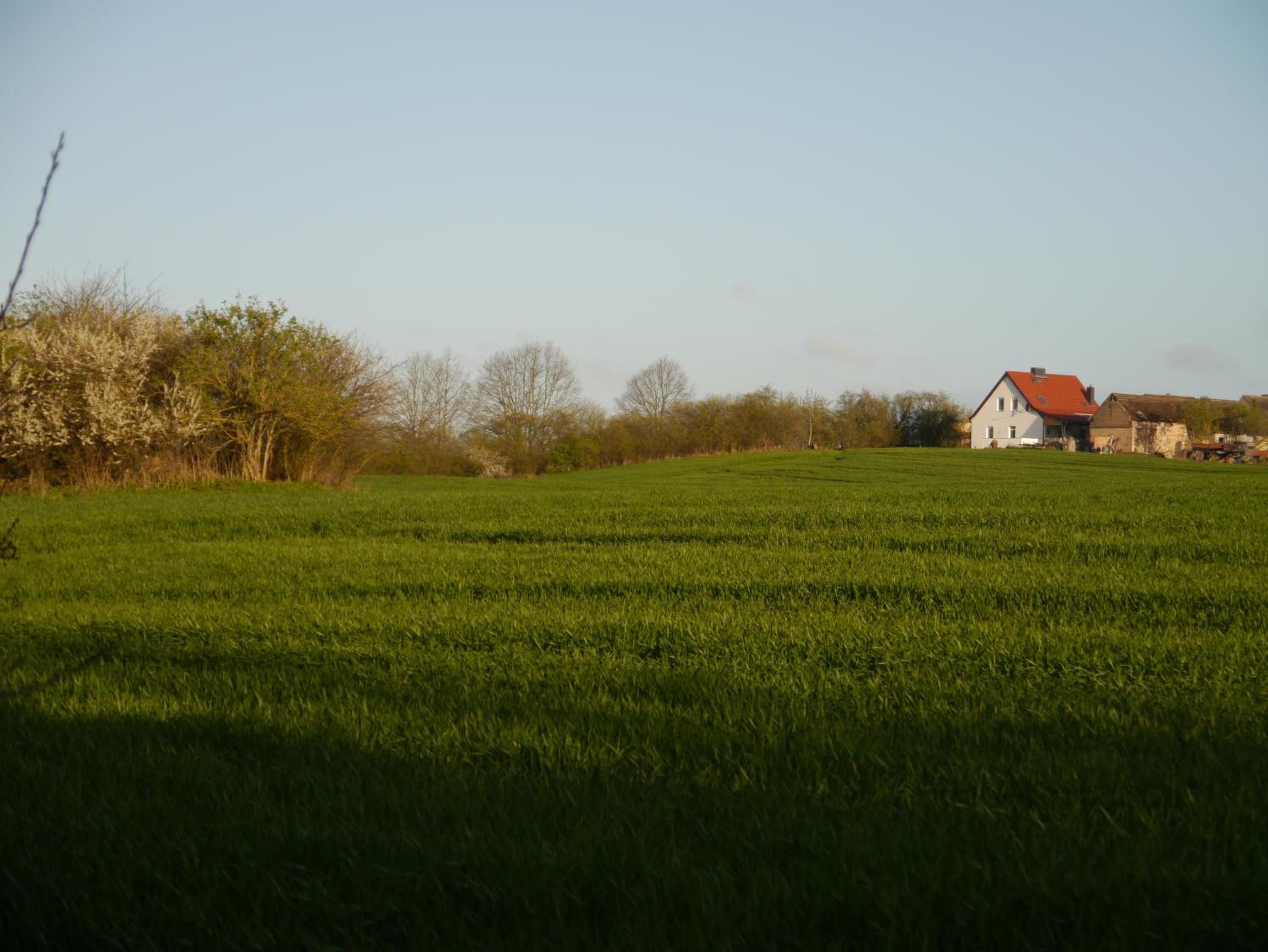 Ferienhaus-Uckermarkblick, Bild 8