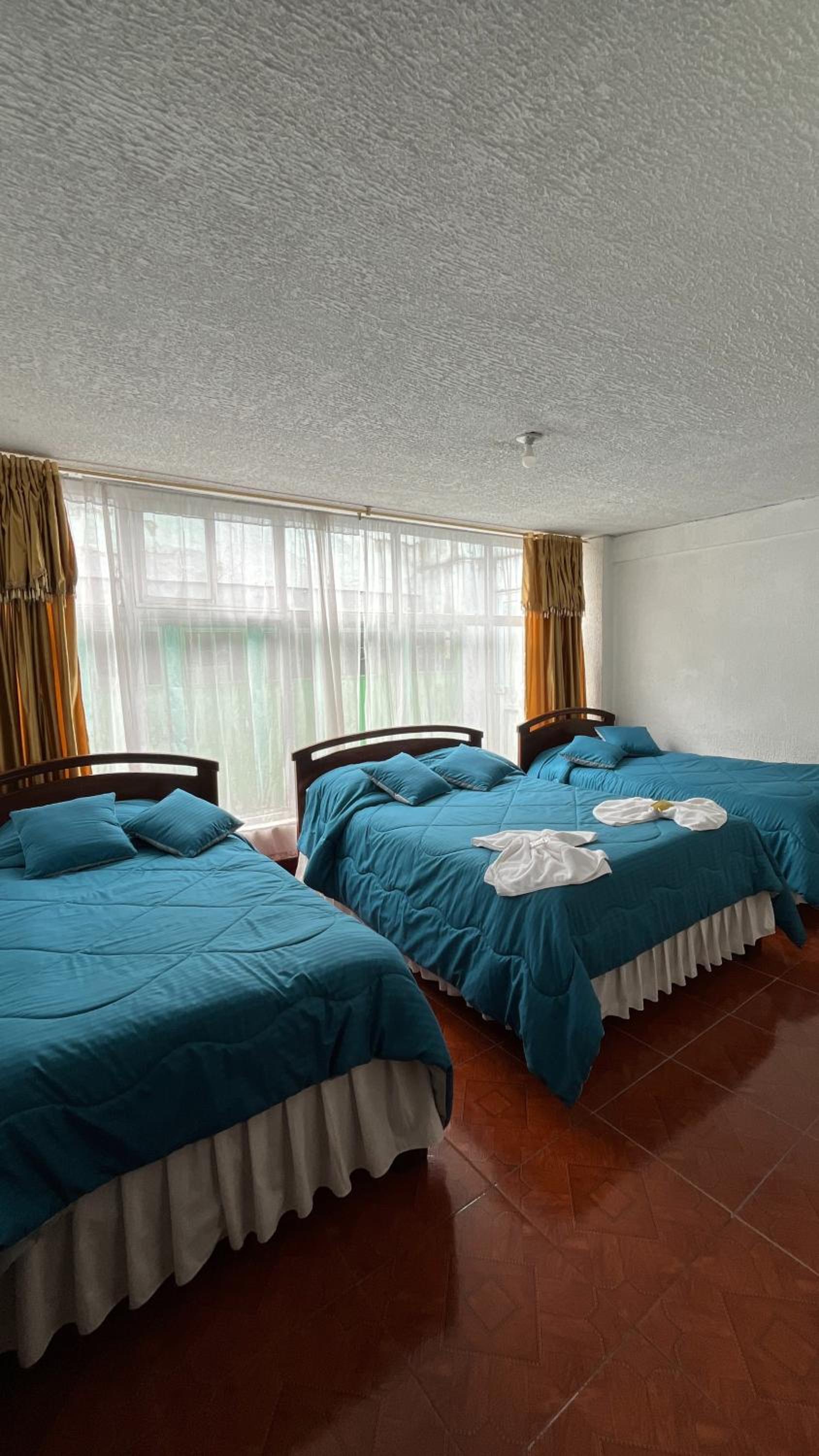 Triple Room photo 1