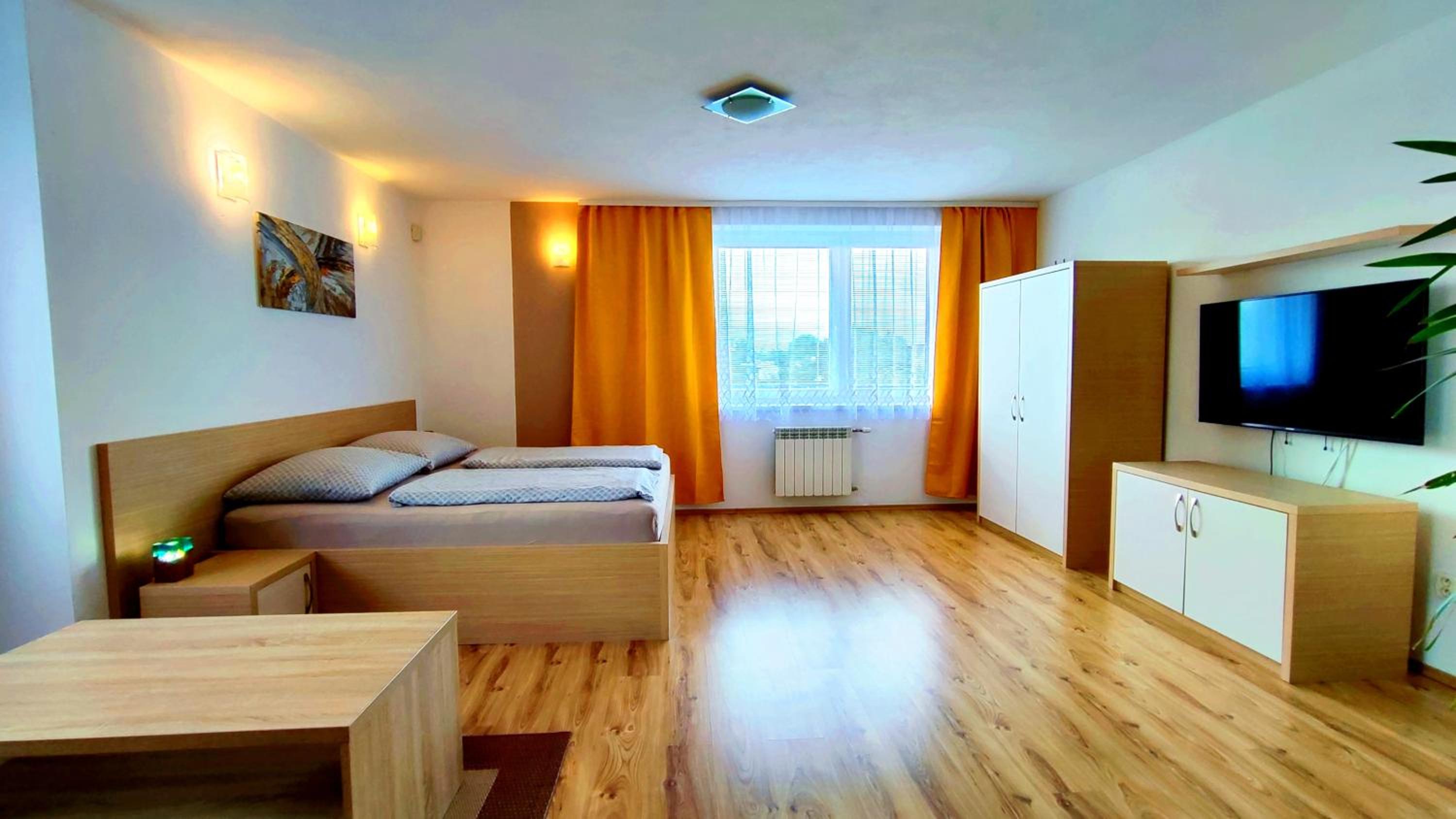 One-Bedroom Apartment photo 3