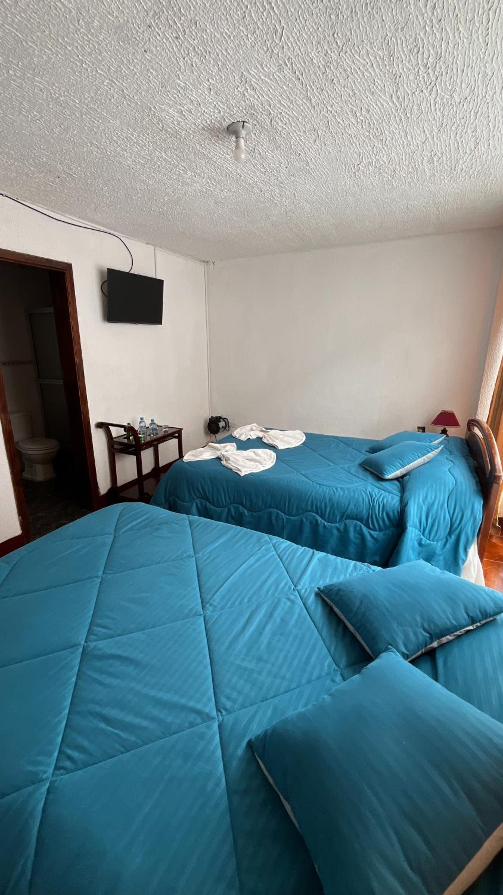 Twin Room photo 2