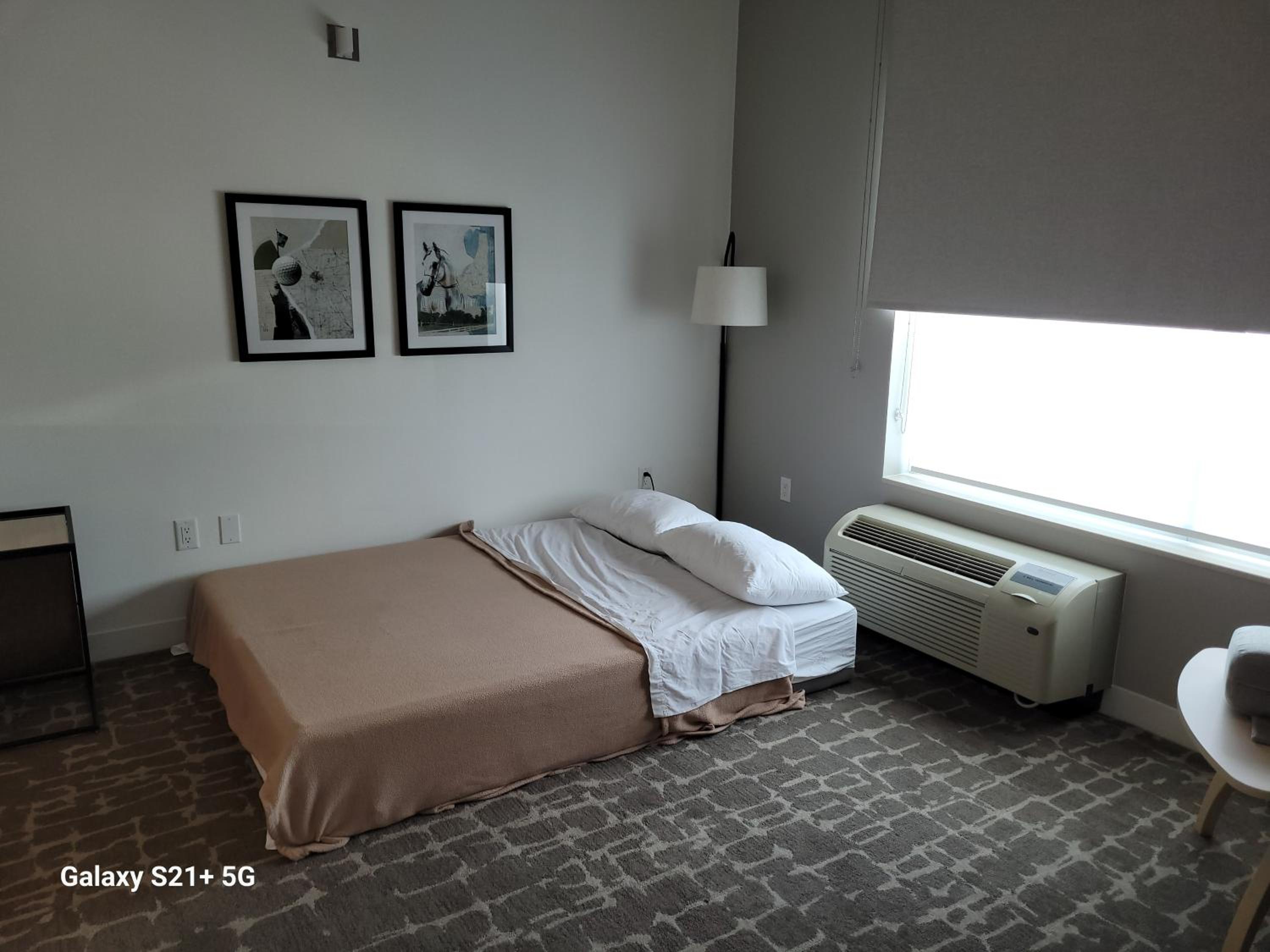 One-Bedroom Queen Suite with Sofa Bed - Photo 3
