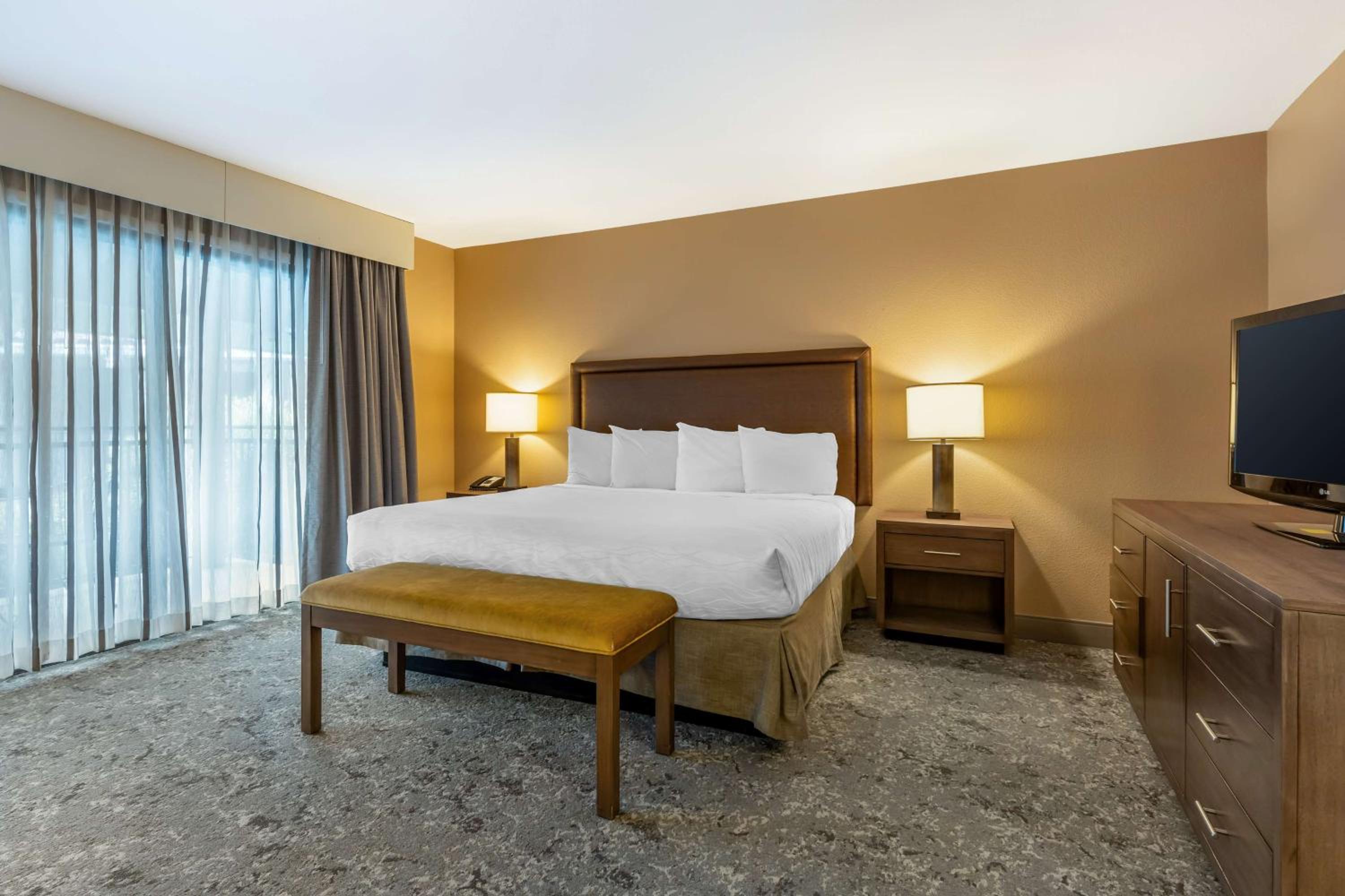 King Suite photo 3