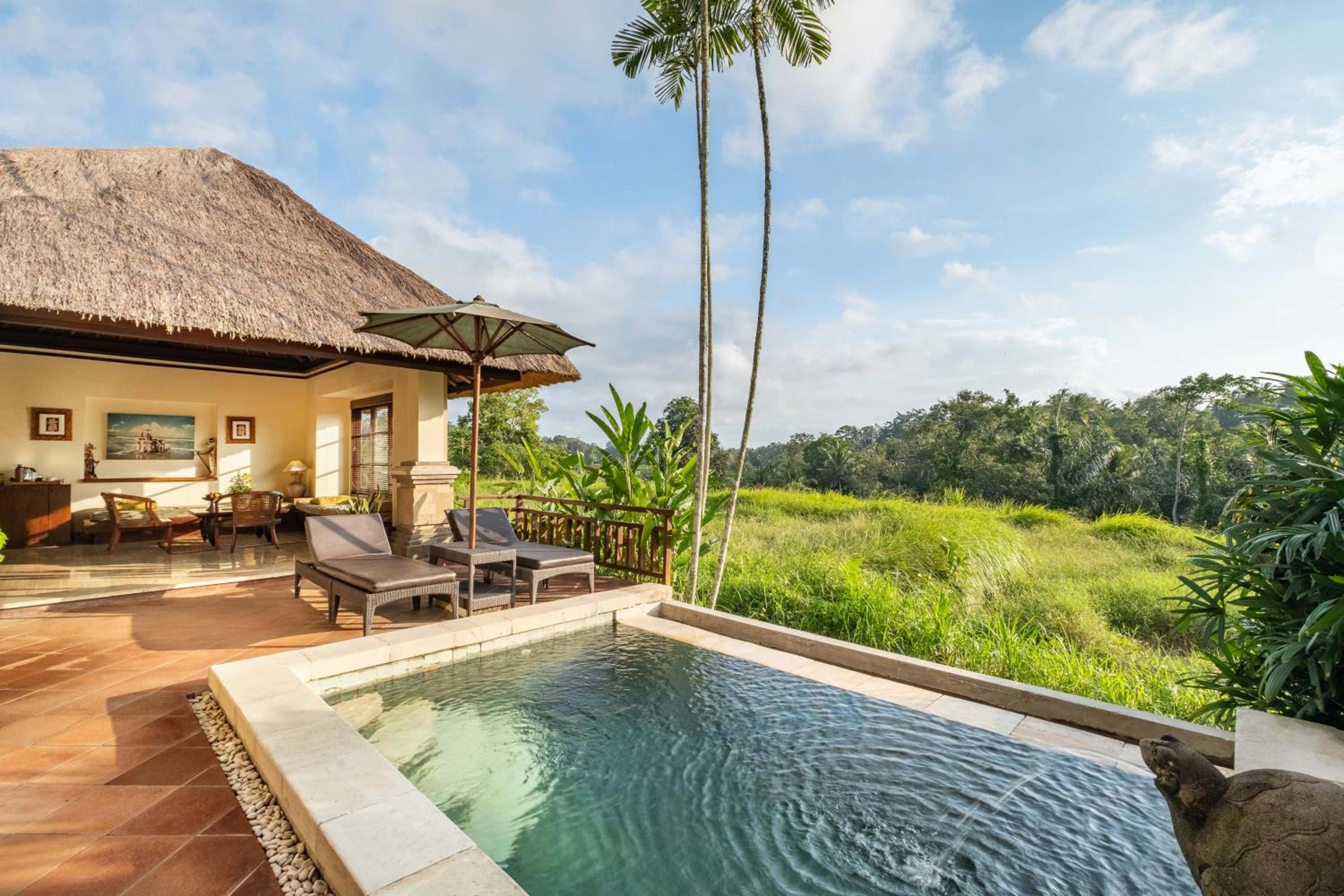 One-Bedroom Pool Villa with Rice Field View  - Photo 3
