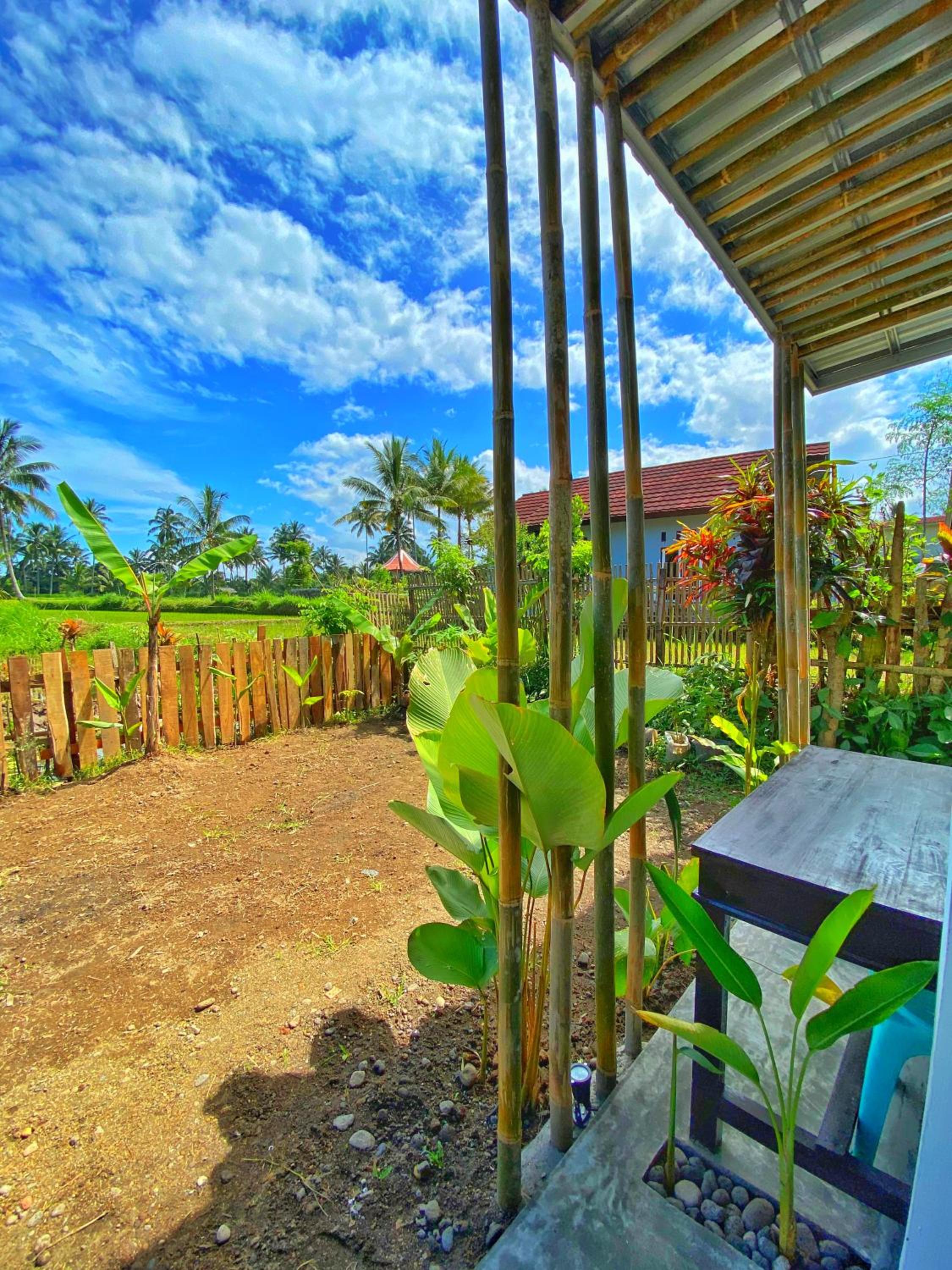 Double Room with Terrace photo 3