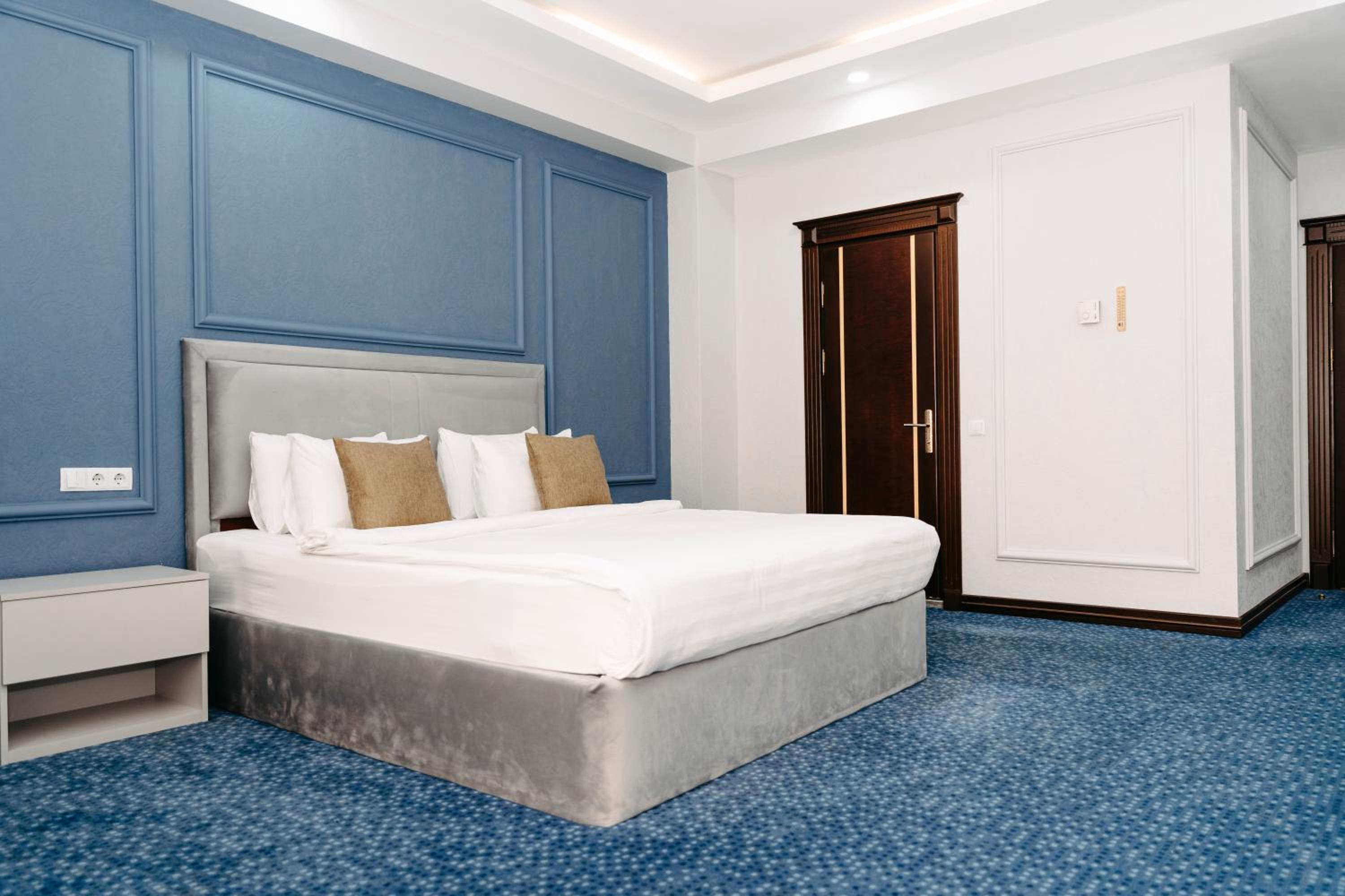 גרנד הוטל באקו סנטרל פארק — Standard Double Room