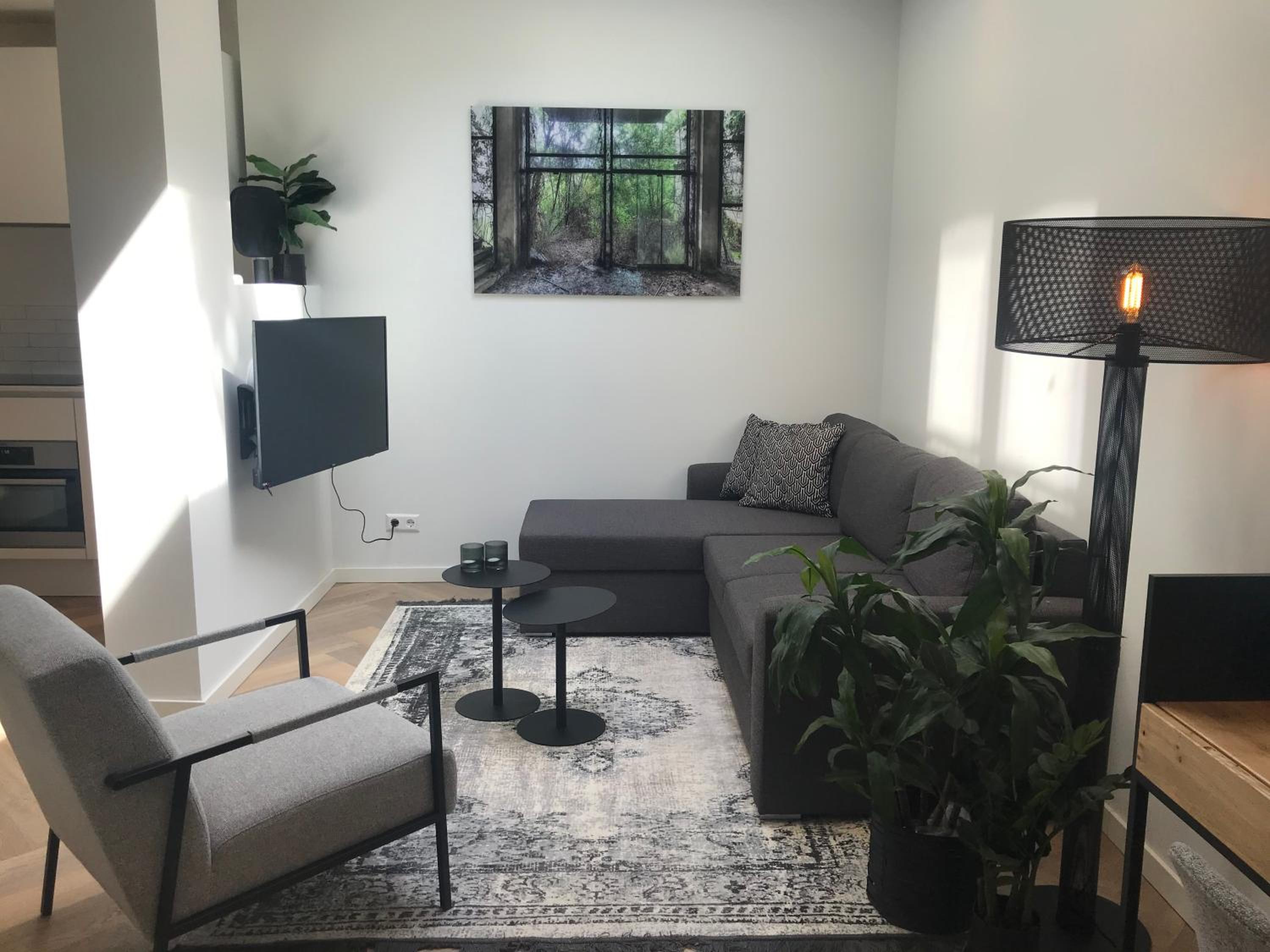 Deluxe Apartment
