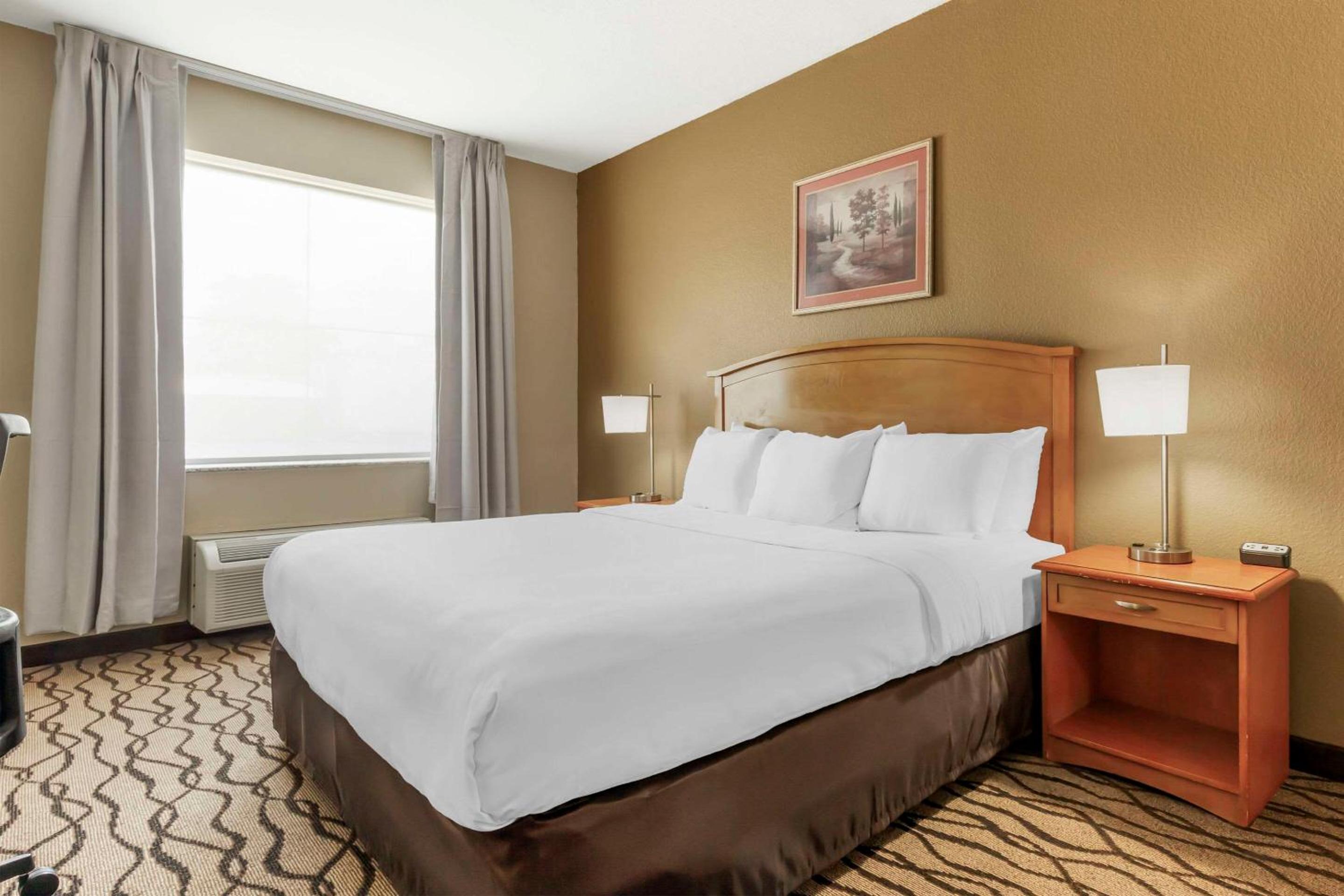 King Suite - Non-Smoking - Photo 10