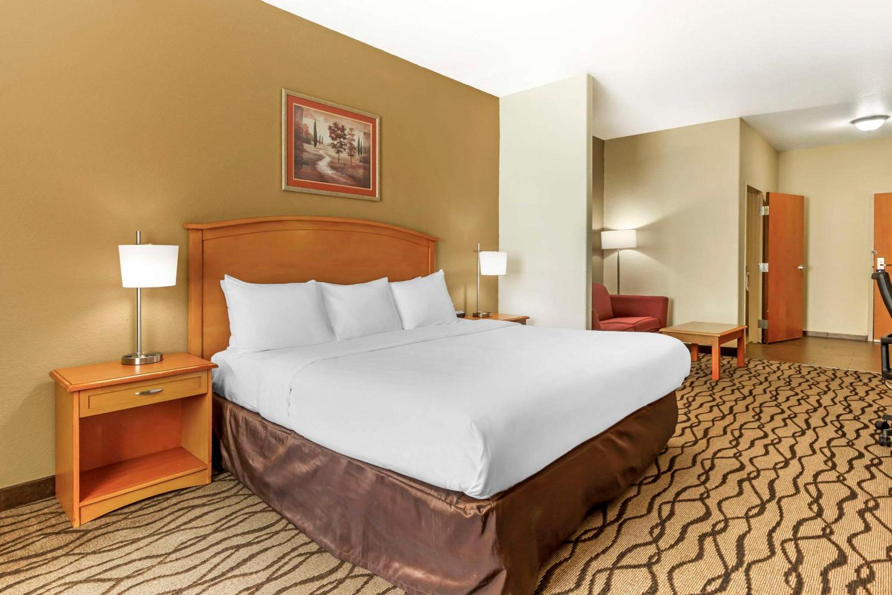 King Suite - Non-Smoking photo 1