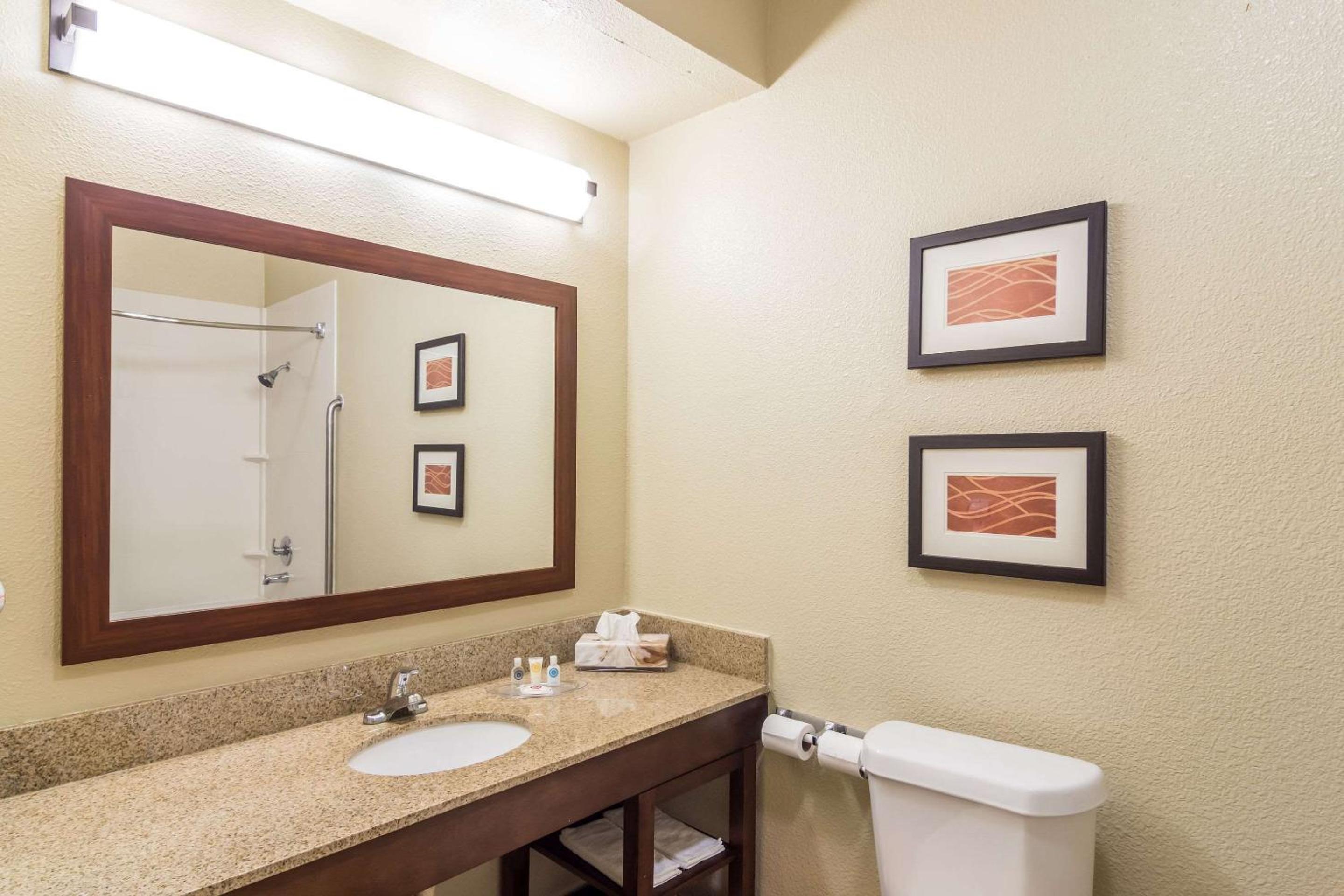 King Suite - Non-Smoking - Photo 6