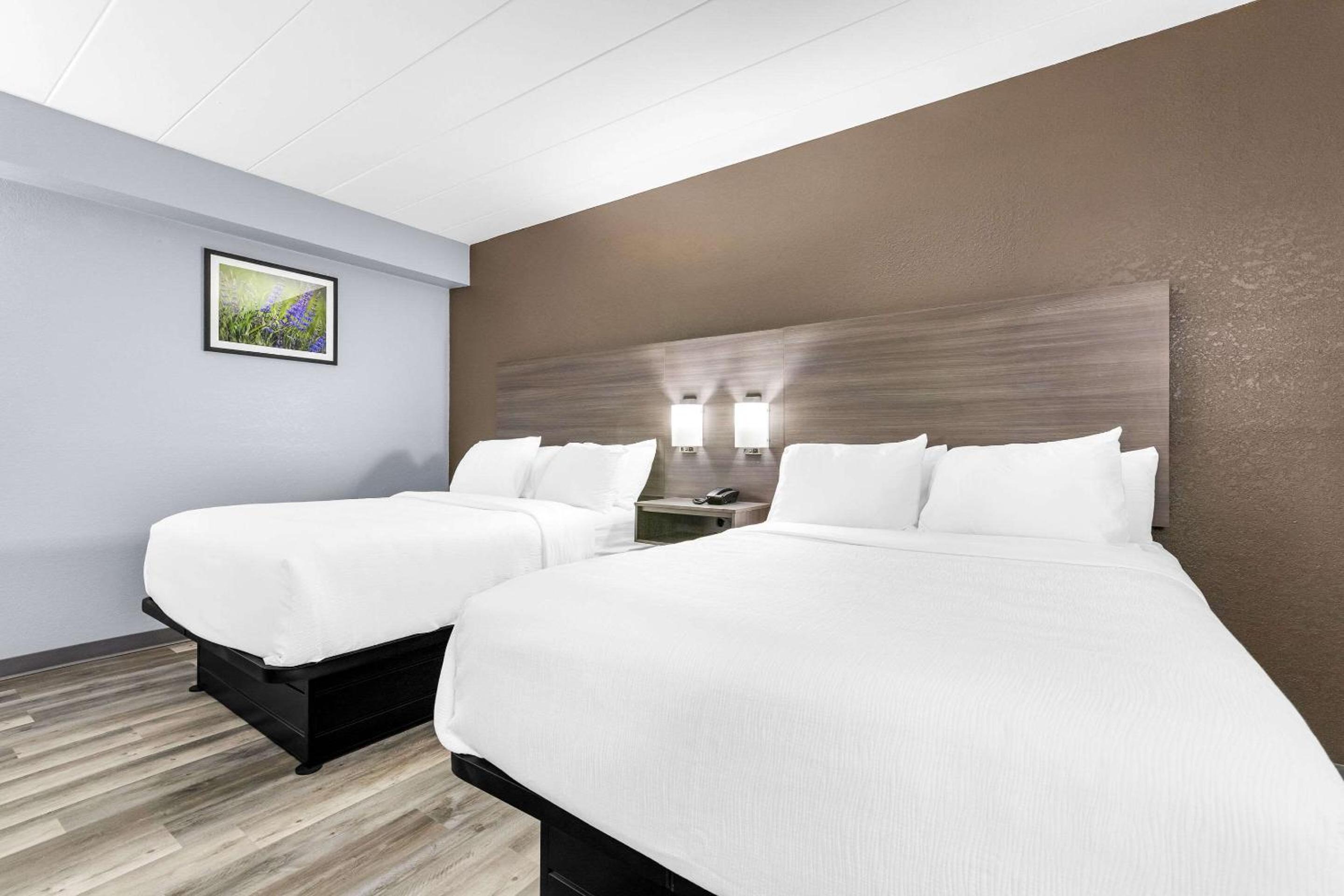 Quadruple Room with Two Queen Beds - Non Smoking photo 2