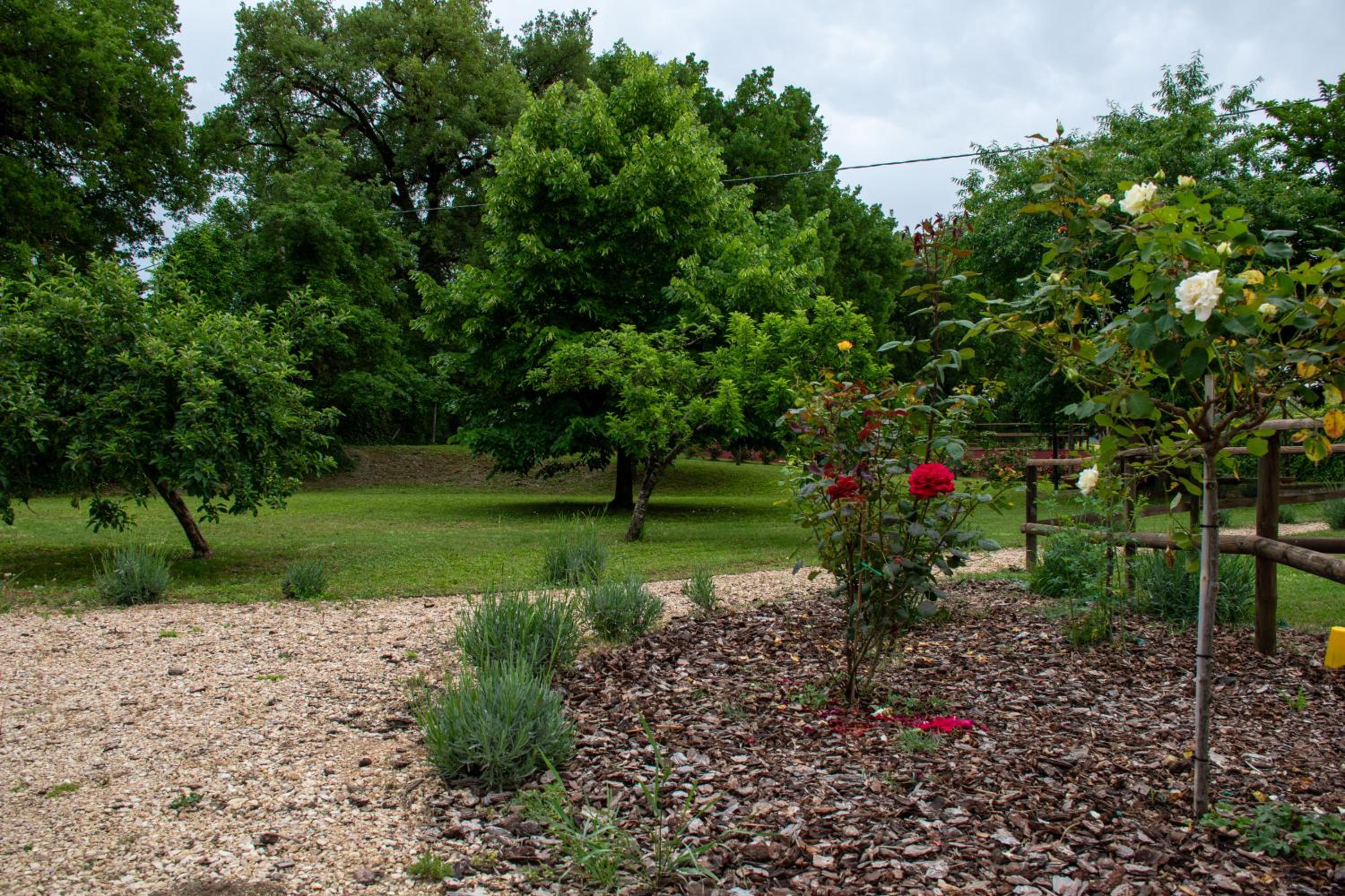 Two-Bedroom Apartment with Garden View photo 2