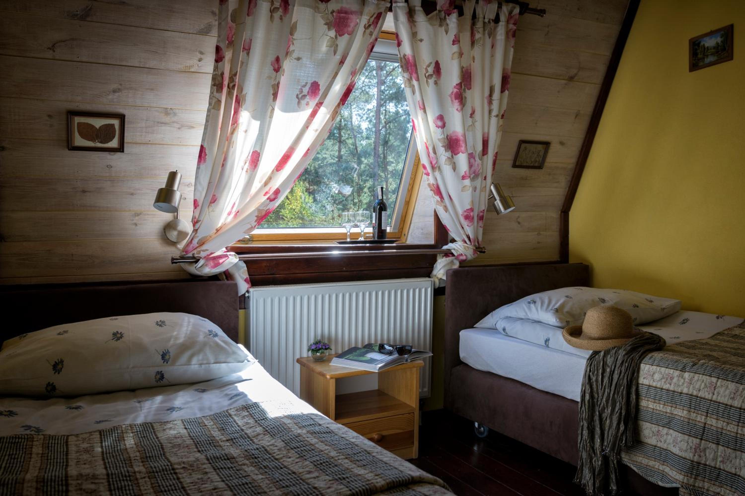 Twin Room photo 3