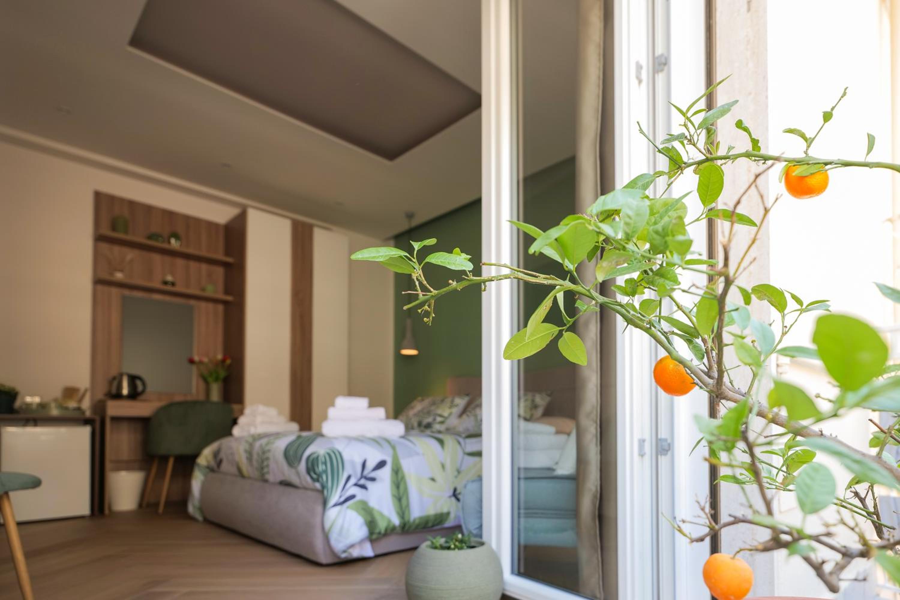 Luxury Triple Room photo 3