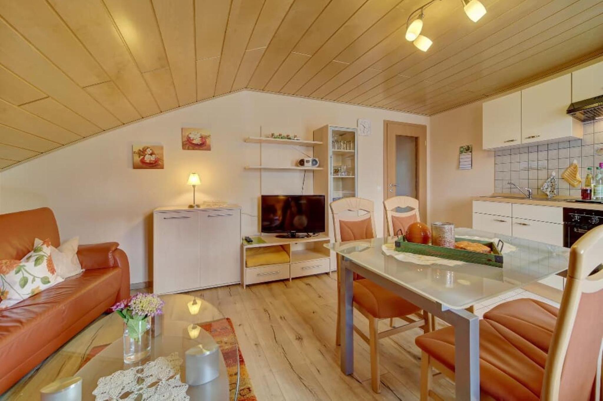 One-Bedroom Apartment with Balcony and Mountain View   photo 2