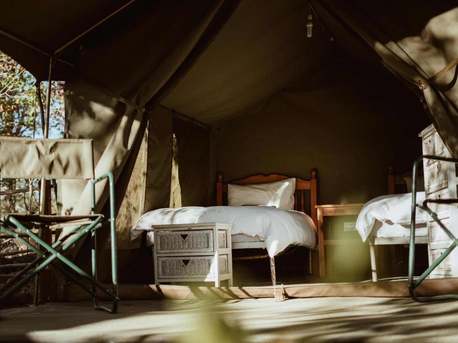 Tent photo 3