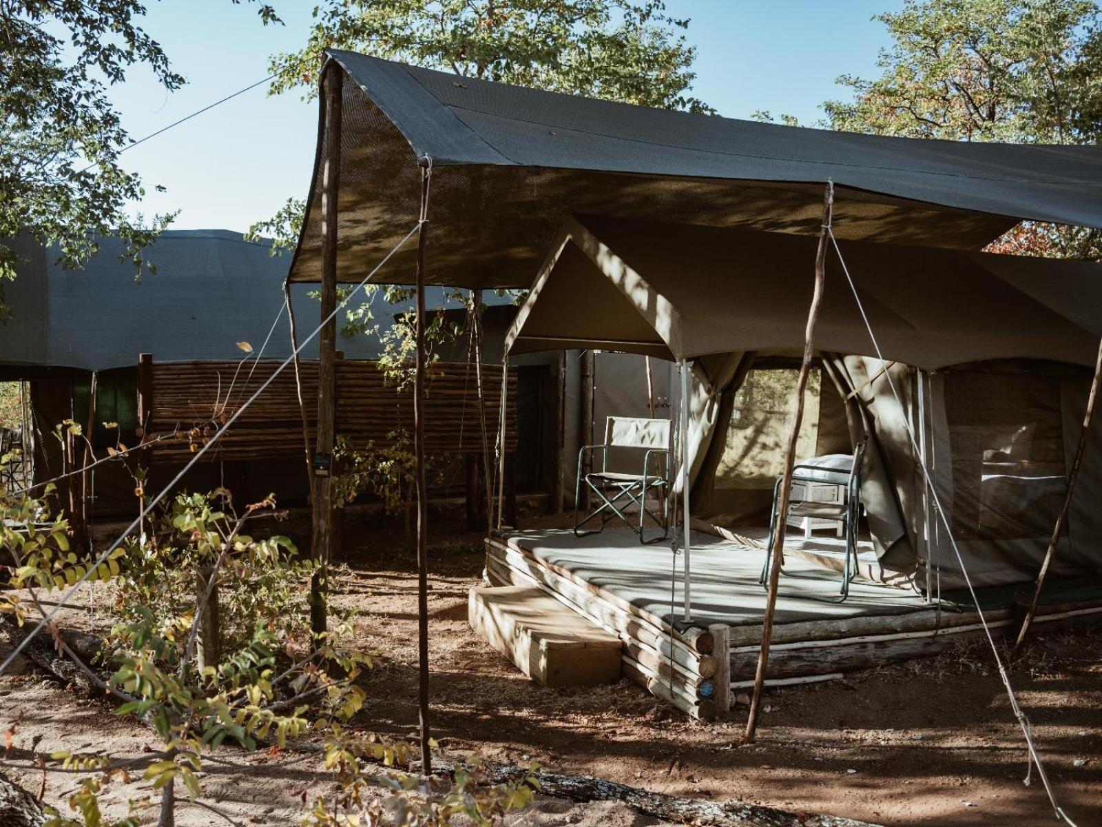 Tent photo 2