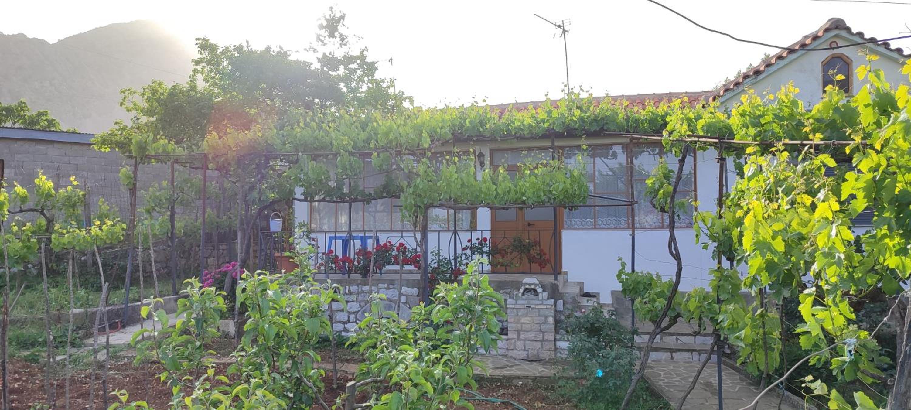 Vacation Home photo 2