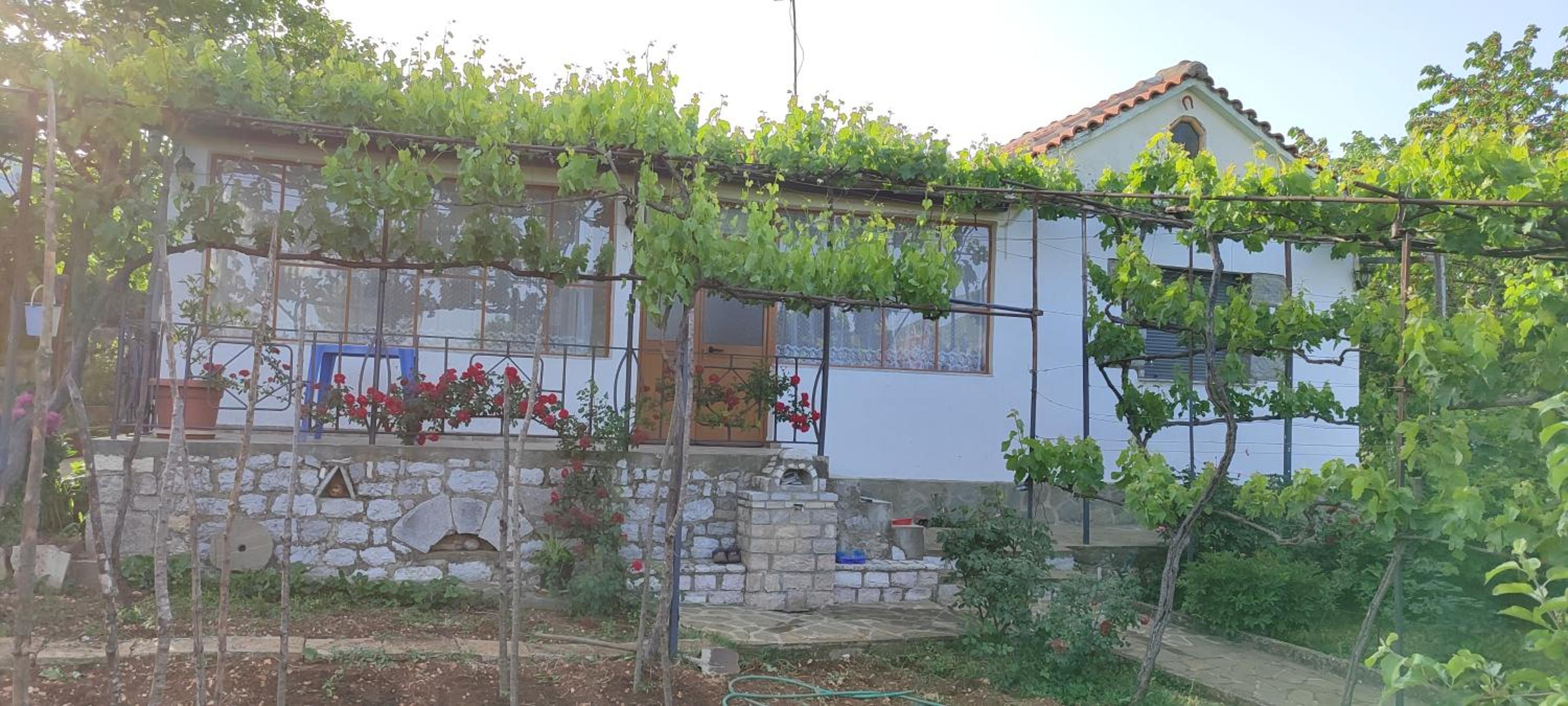 Vacation Home photo 3