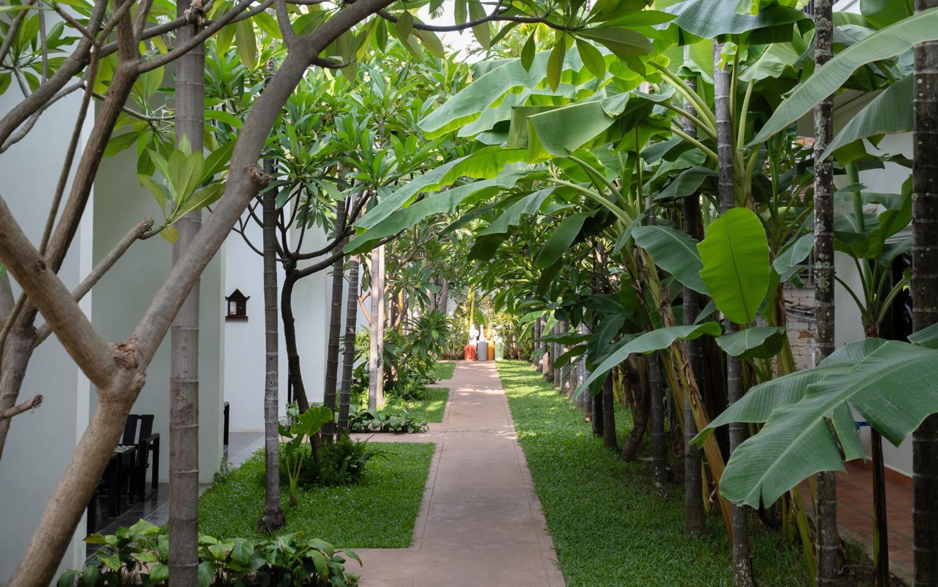 Suite with Terrace - Free Workspace + Afternoon Tea + Tree Planting - Photo 7