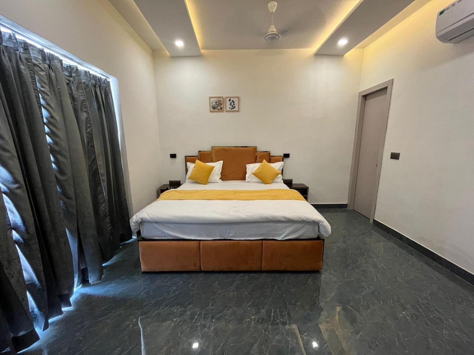 Suite - Photo 1