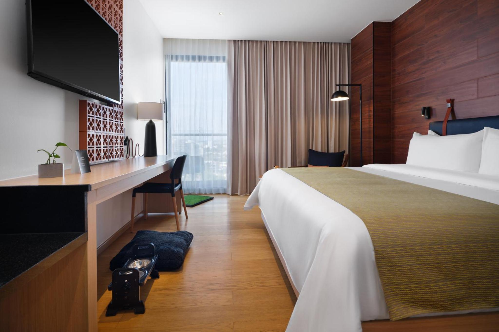 Standard King Room - Mid Floor - Photo 4