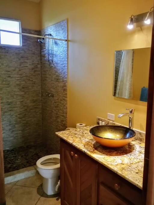 Three-Bedroom House photo 3