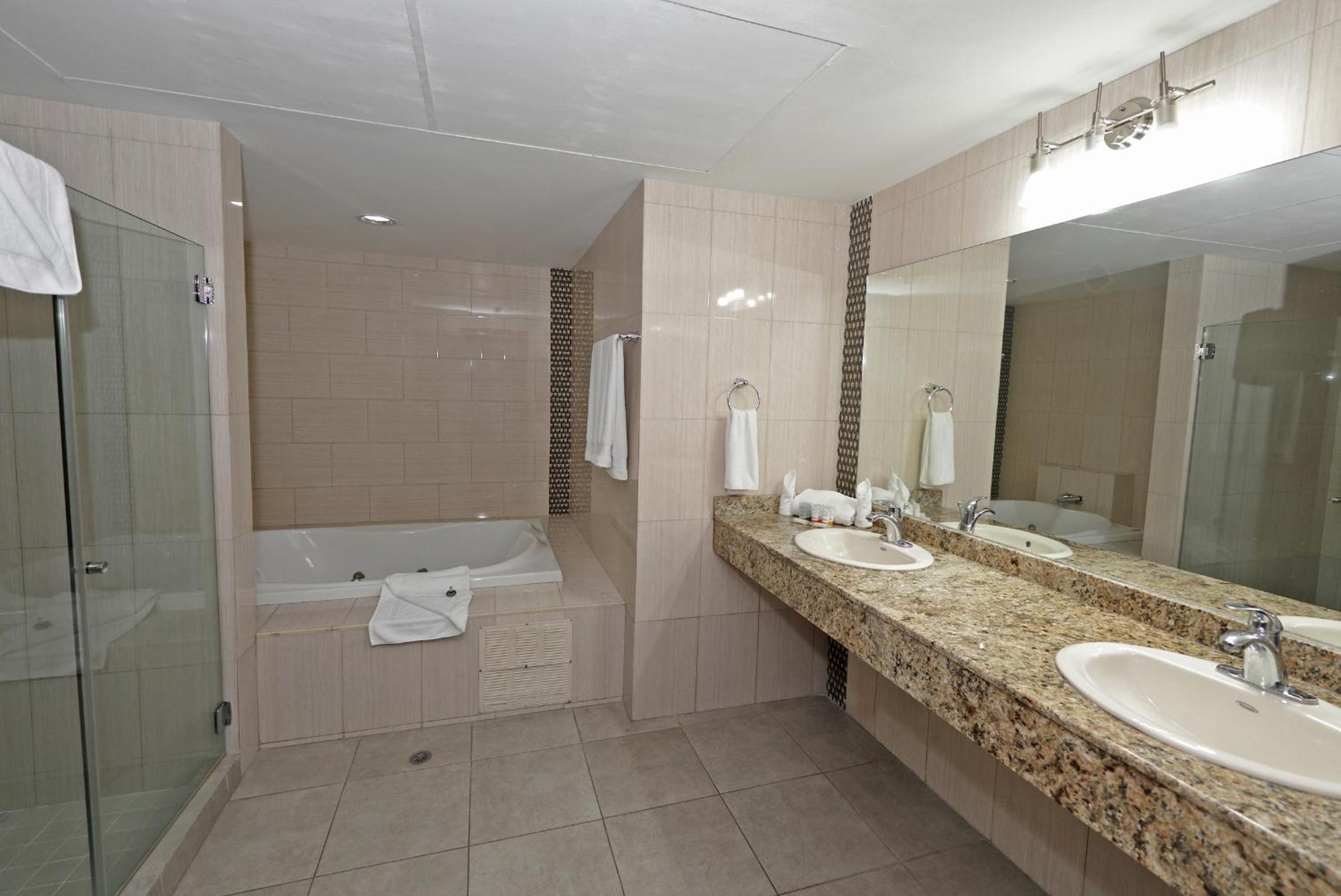 Deluxe Suite with King Bed  photo 3