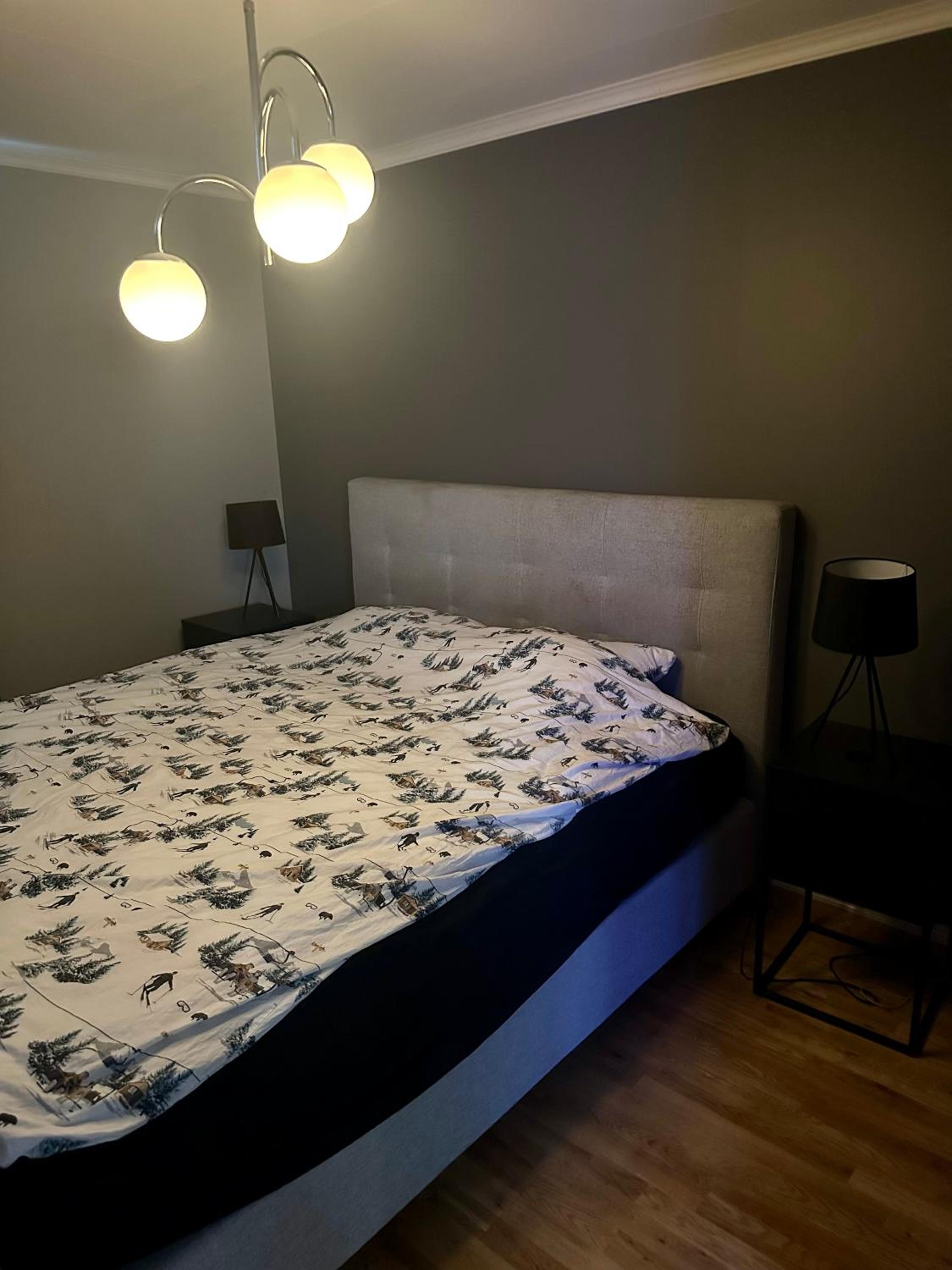 Three-Bedroom Apartment photo 1