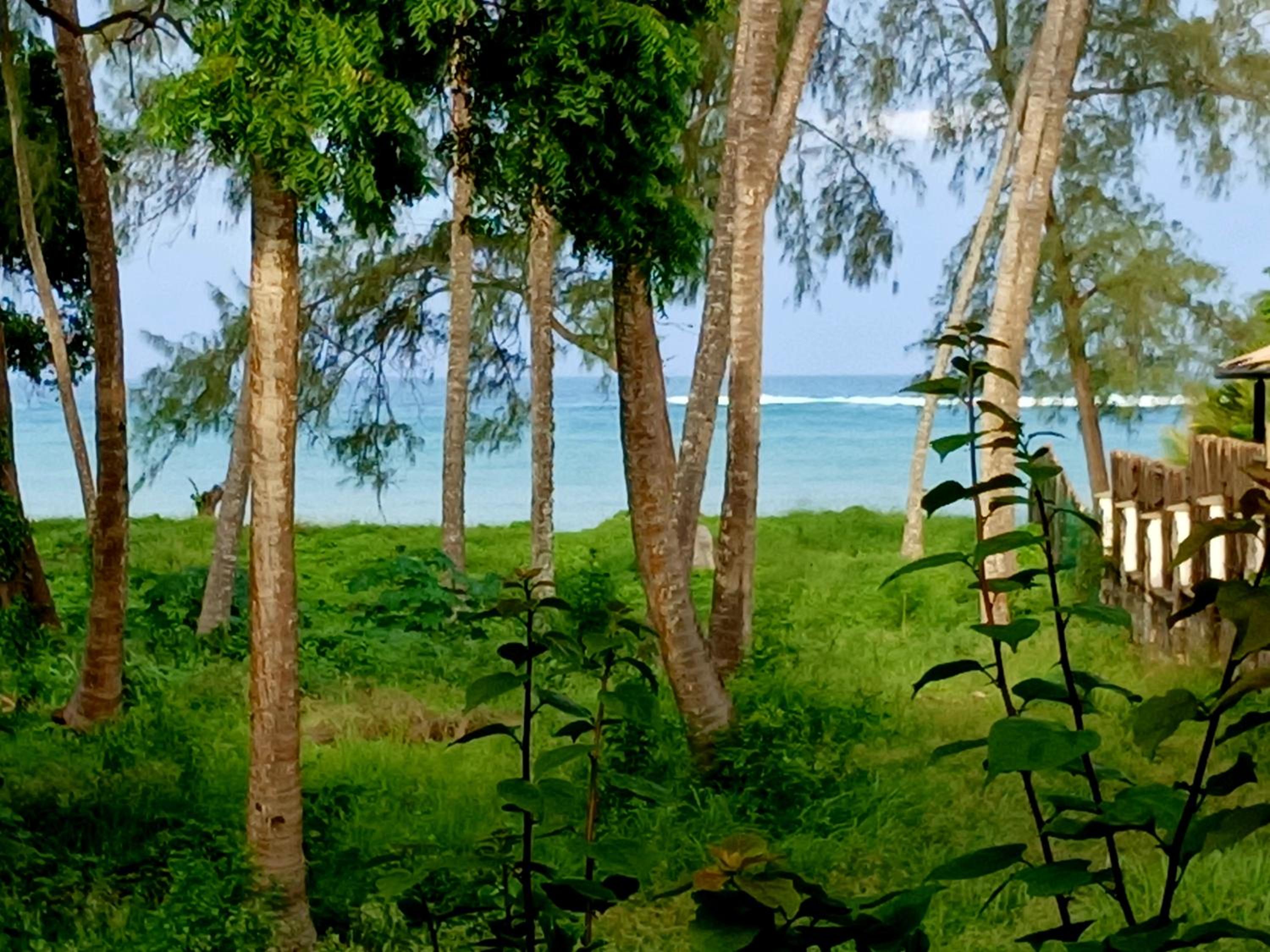 Studio with Sea View photo 1