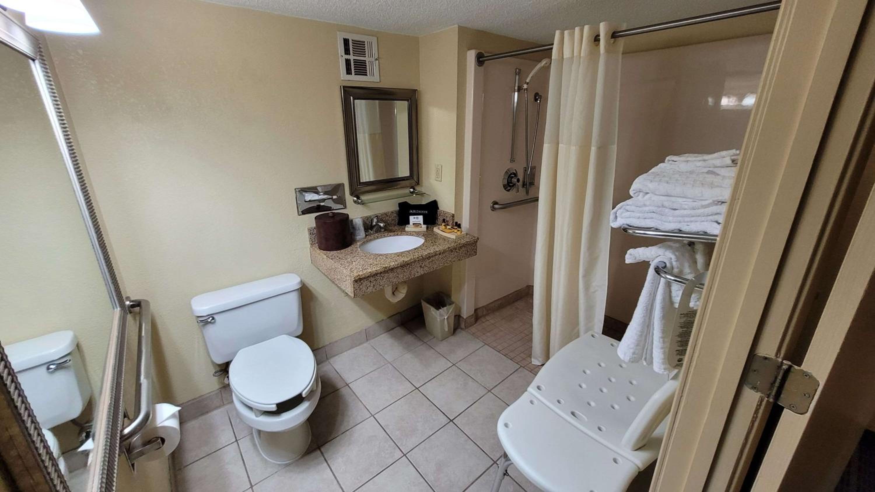 Queen Room with Mobility Accessible Roll-In Shower - Photo 2