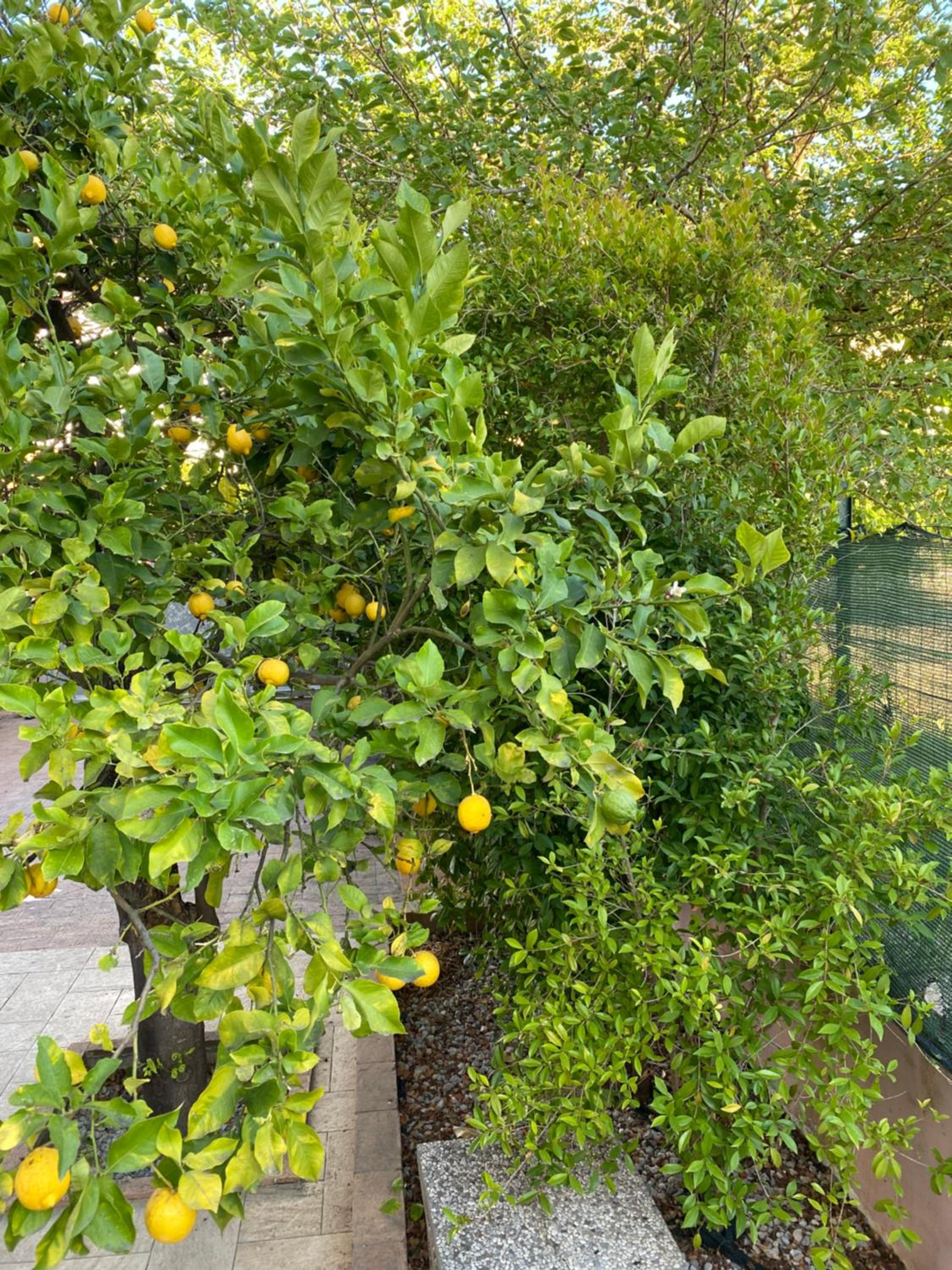 Vacation Home - Photo 37