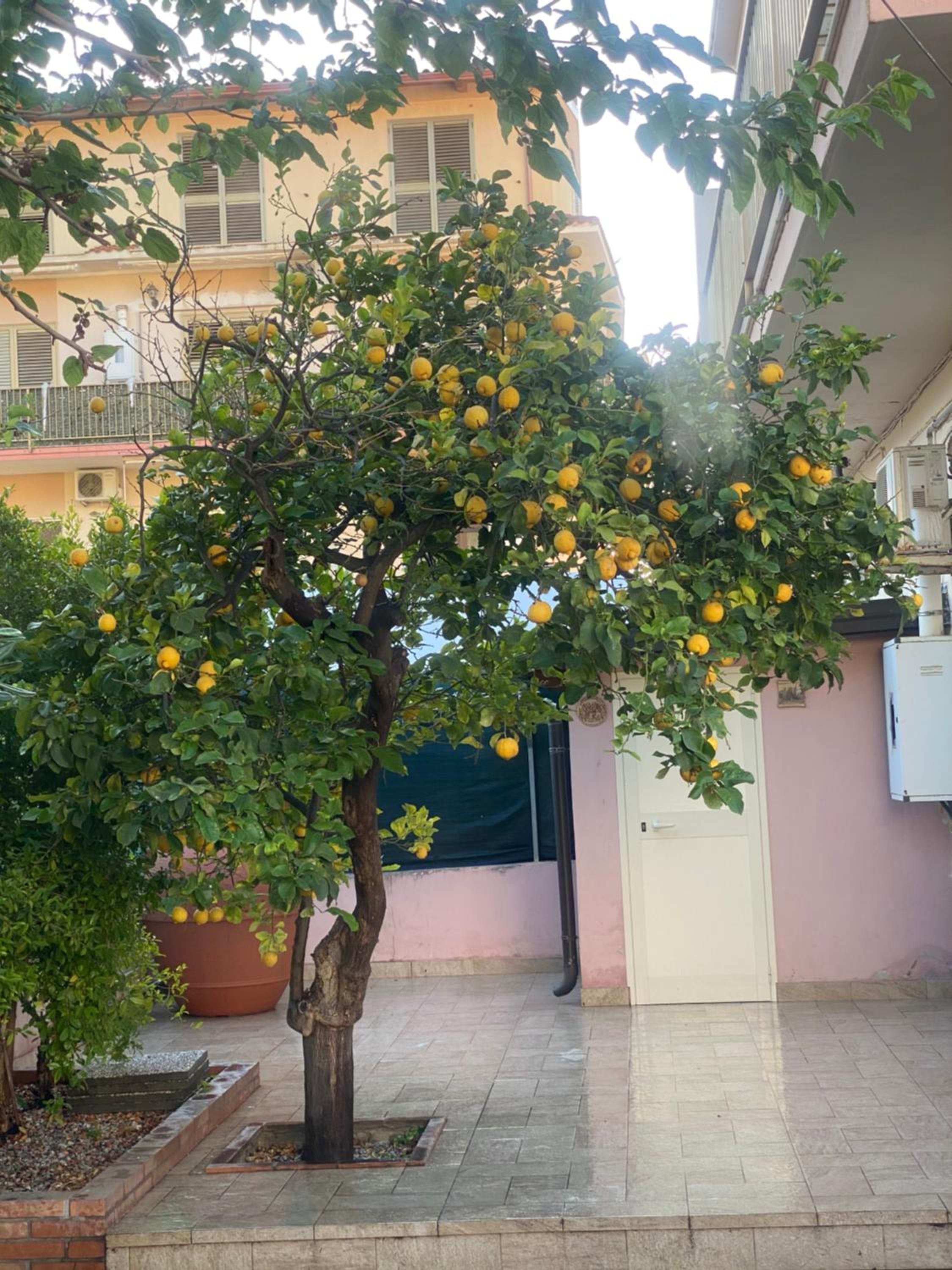 Vacation Home - Photo 49