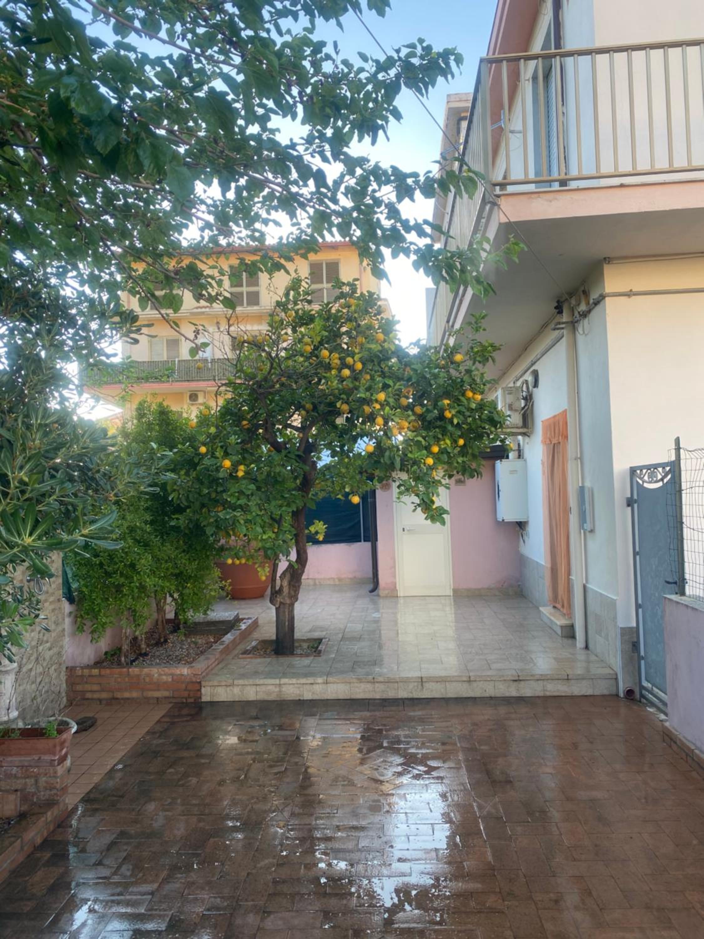 Vacation Home - Photo 50