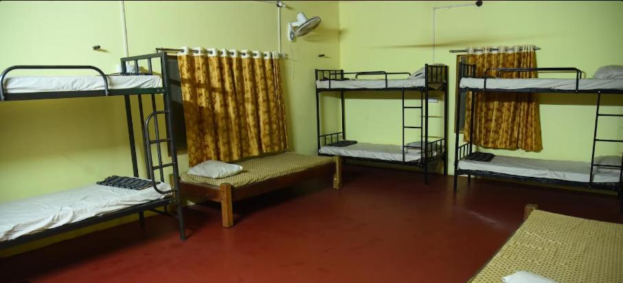 Single Bed In 10-Bed Dormitory Room