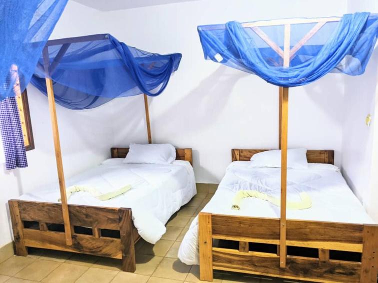Twin Room photo 1