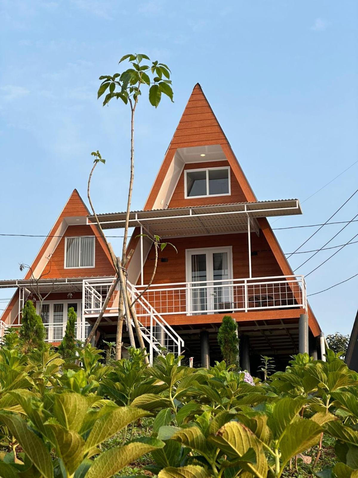 Superior Villa photo 2