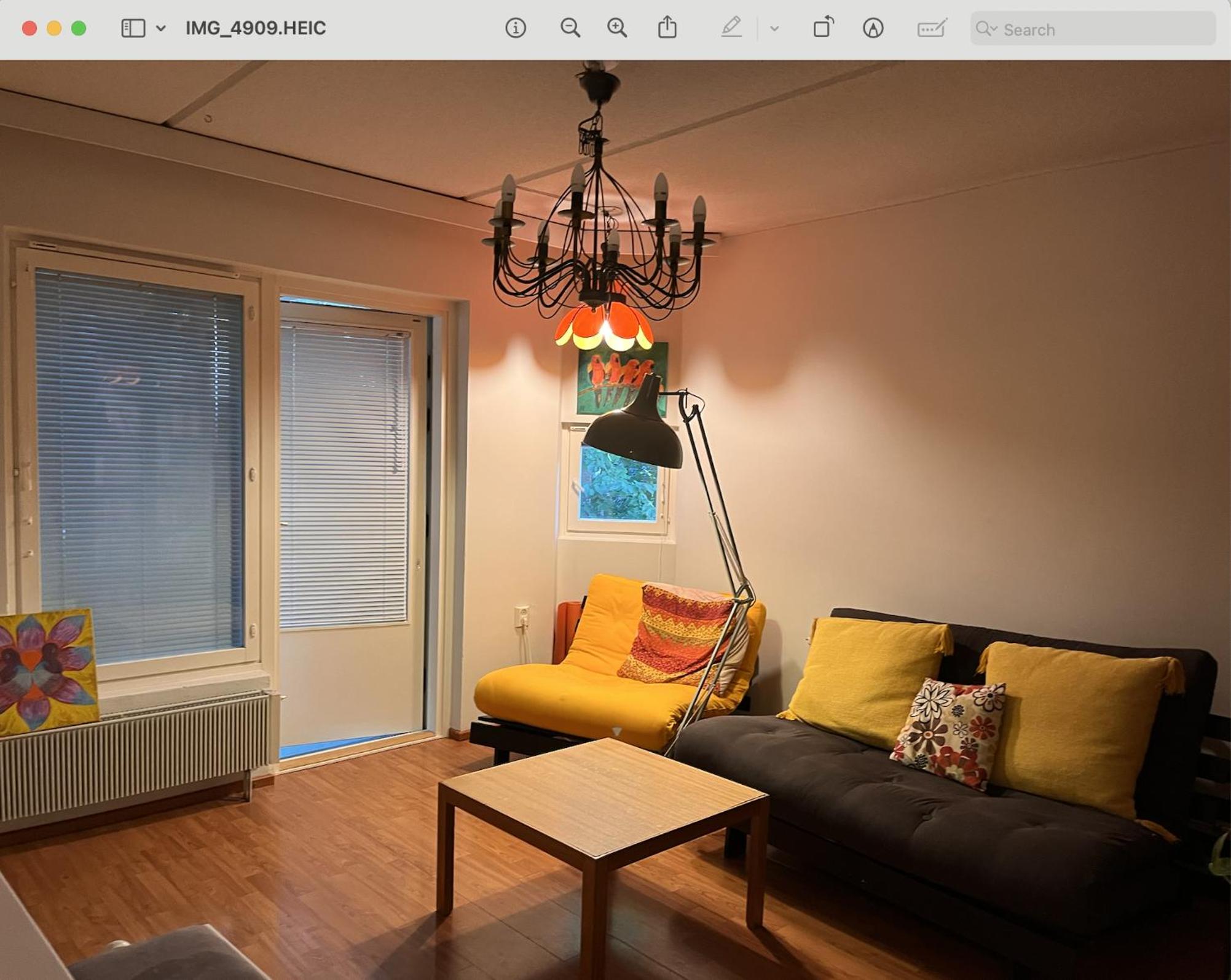 Sunny rooms, 사진 8