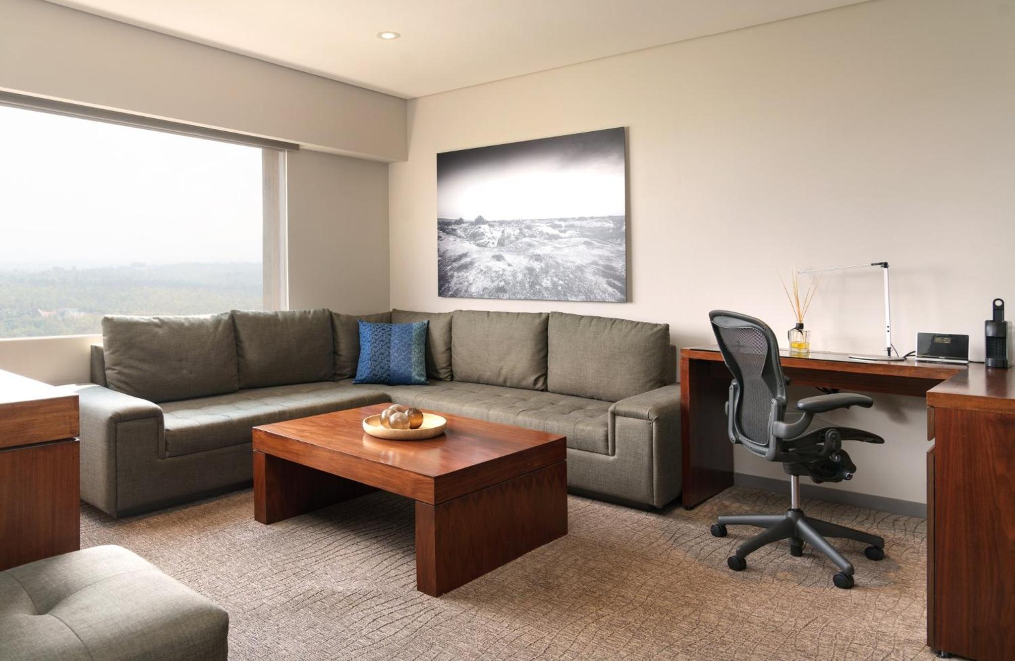 One-Bedroom King Suite